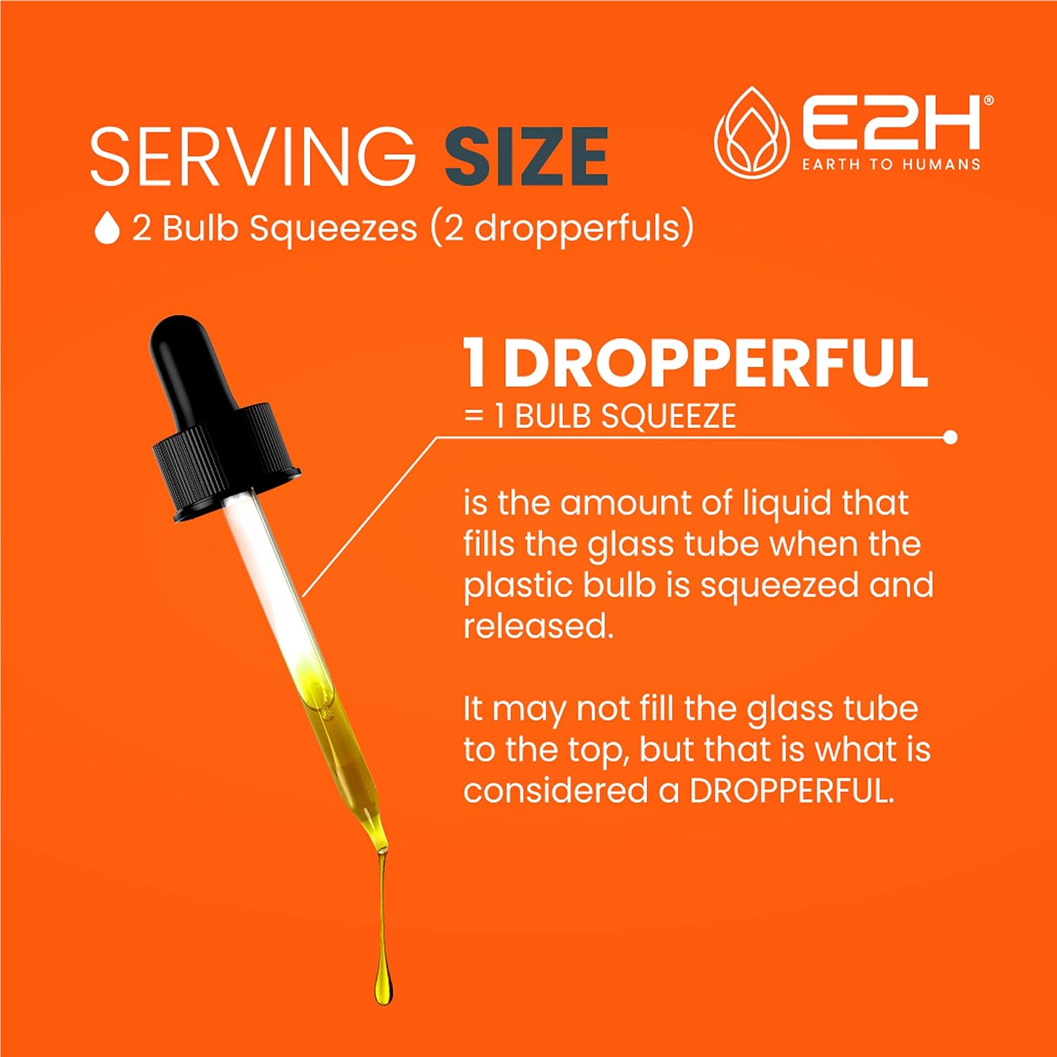 E2H Earth to Humans Turmeric Curcumin Drops with Black Pepper - Joint Support Supplement - Vegan - Non-GMO - 2 Bottles