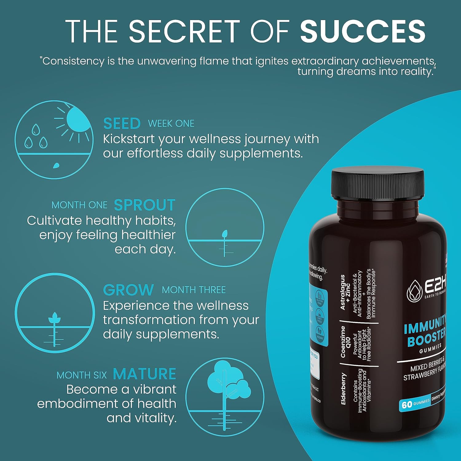 E2H Immunity Support Gummies - 60 Count, Gelatin-Free, Gluten-Free, Vegan & Non-GMO - Earth to Humans