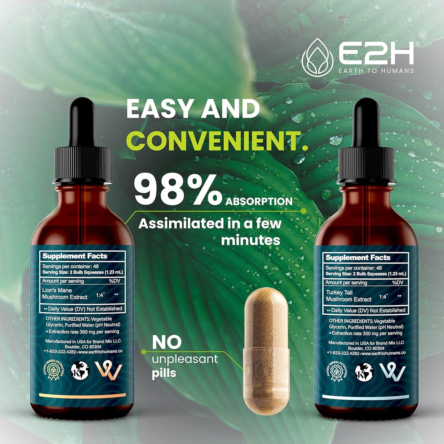 E2H Lions Mane and Turkey Tail Liquid Bundle - Immune Support, Focus, Memory, Clarity - Non-GMO, Vegan - 4 Fl Oz Total