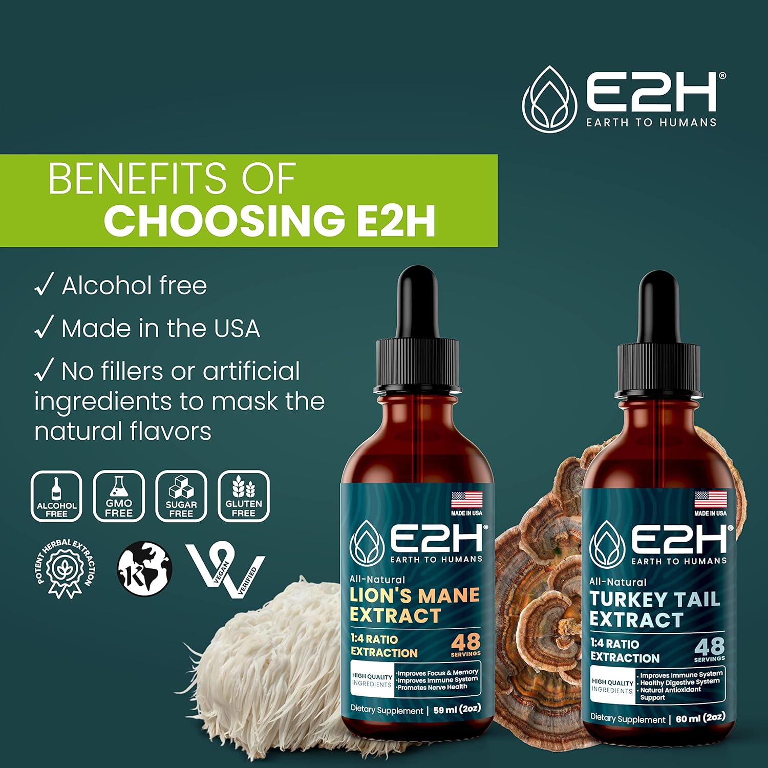 E2H Lions Mane and Turkey Tail Liquid Bundle - Immune Support, Focus, Memory, Clarity - Non-GMO, Vegan - 4 Fl Oz Total