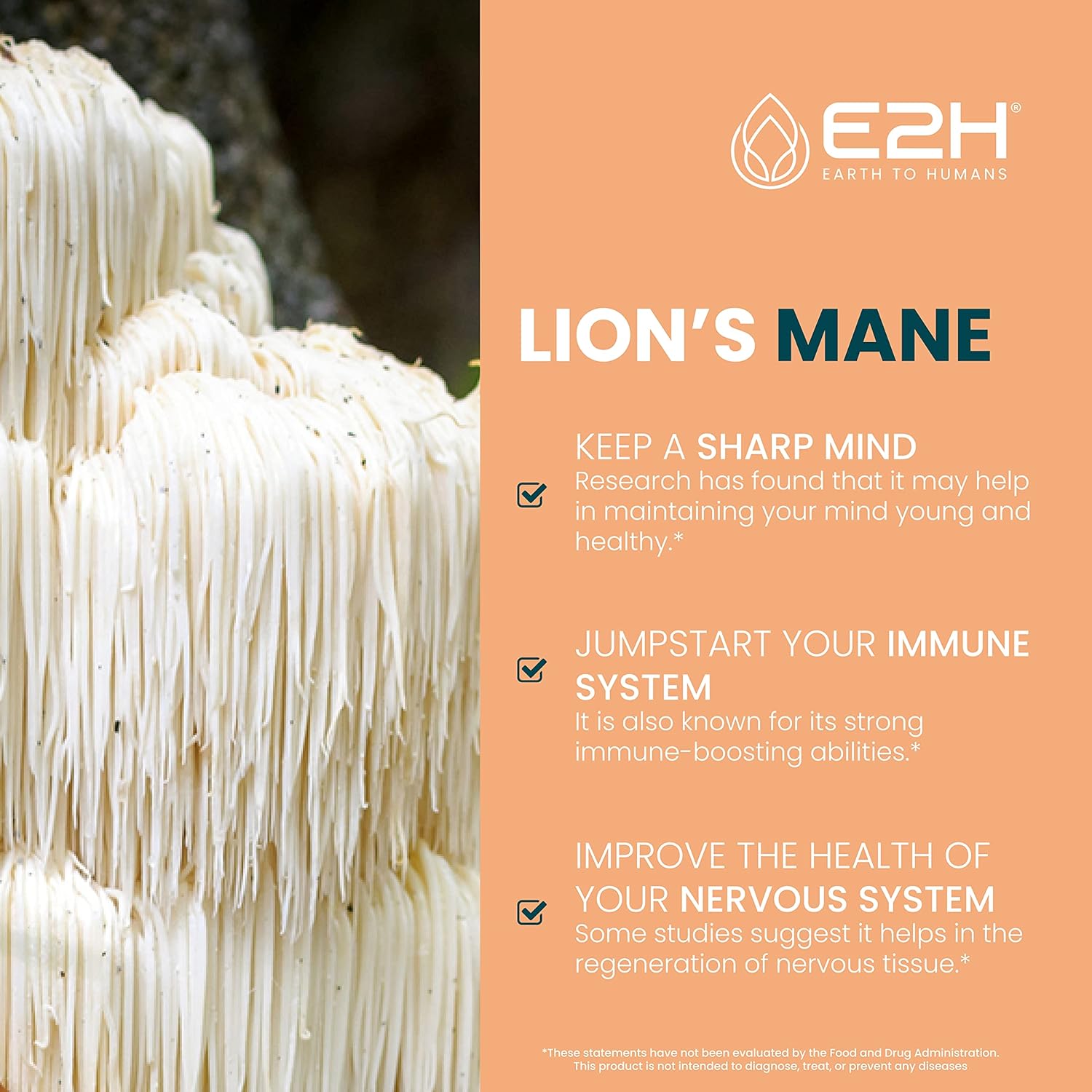 E2H Lion's Mane & Cordyceps Liquid Supplement for Mental Clarity, Memory, Energy, Stamina & Immune Support - Non-GMO, Vegan - 4 Fl Oz Bundle