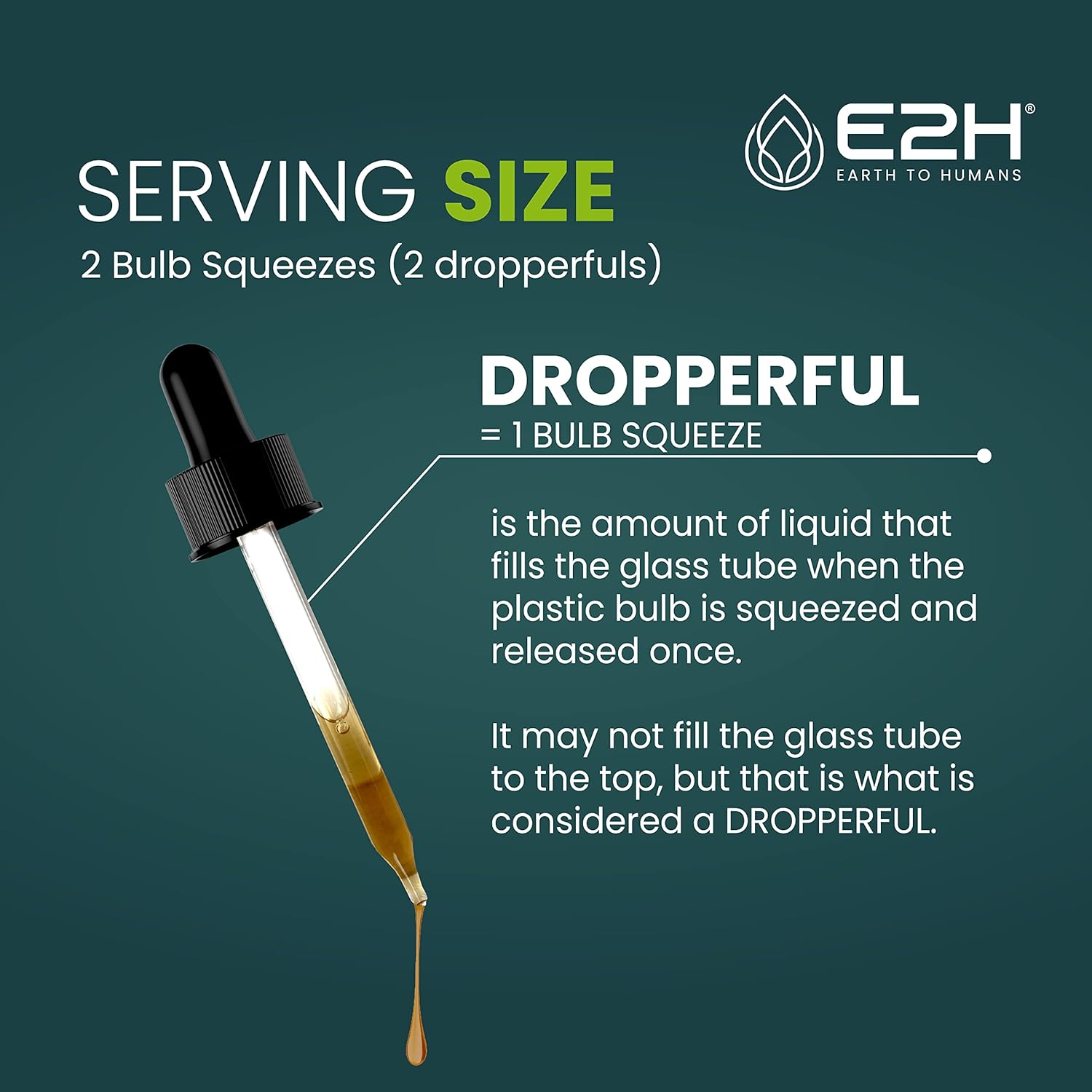 E2H Lion's Mane & Cordyceps Liquid Supplement for Mental Clarity, Memory, Energy, Stamina & Immune Support - Non-GMO, Vegan - 4 Fl Oz Bundle