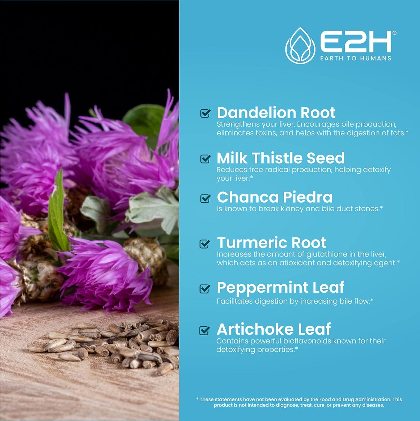 E2H Liquid Chlorophyll and Liver Support Supplement Bundle - Vegan, Non-GMO - 4 Fl Oz Total
