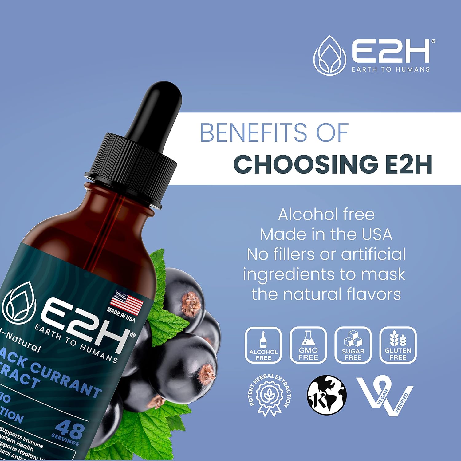 E2H Natural Black Currant Extract, Cold Pressed Seed Oil - Immune System Support - Liquid Supplement Pack
