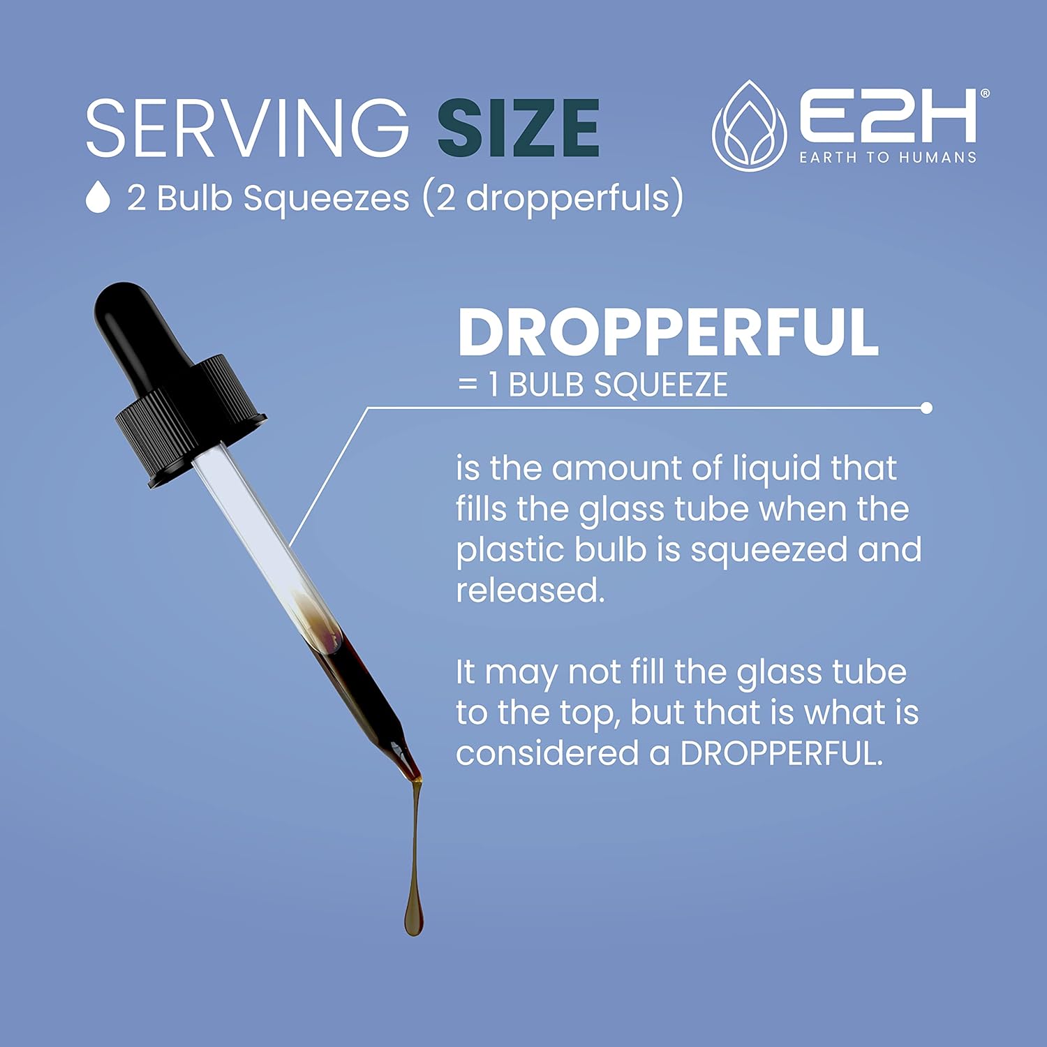 E2H Natural Black Currant Seed Extract - Immune System Support - Cold Pressed Liquid Formula - 2 Bottles