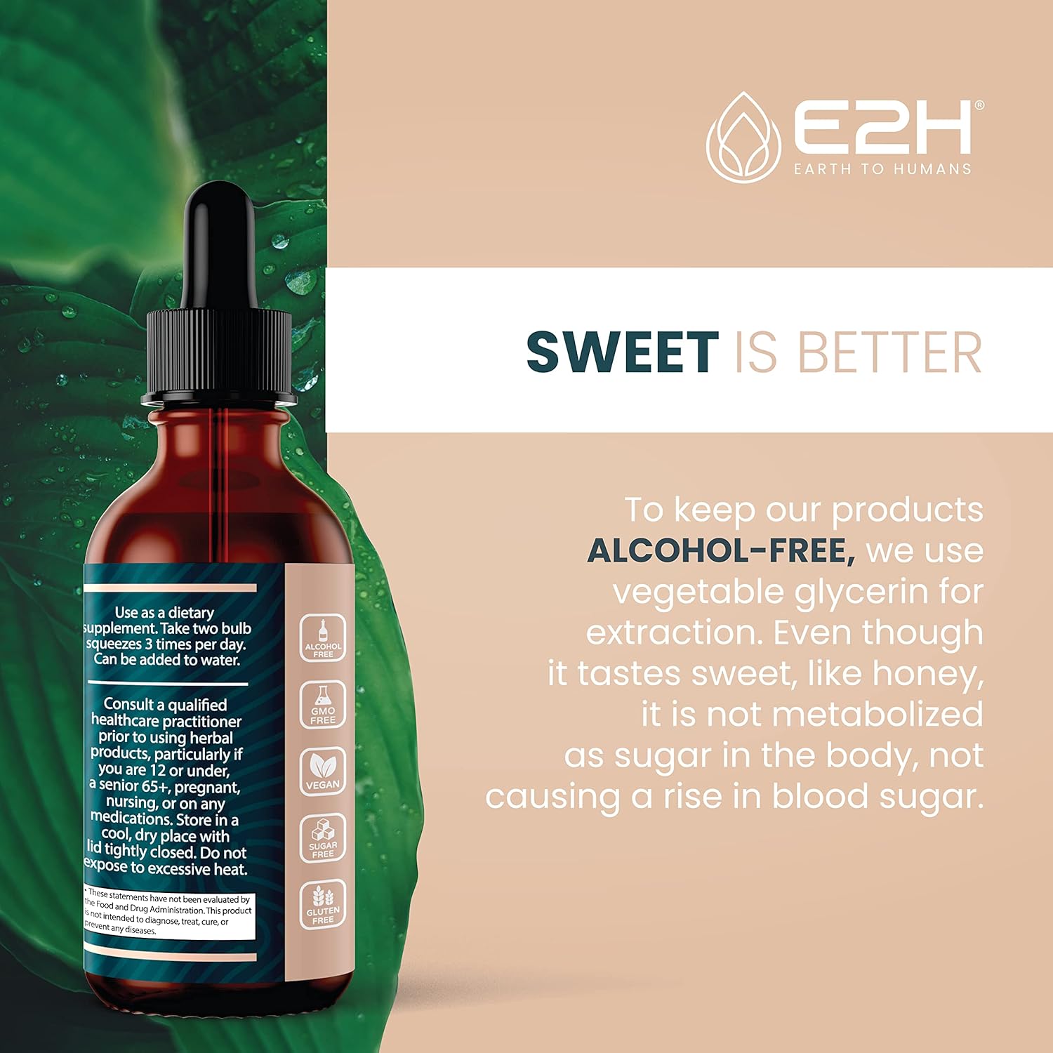 E2H Reishi Mushroom Extract: Natural Energy & Wellness Support - Advanced Mushroom Supplement - Non-GMO, Vegan - 3 Bottles