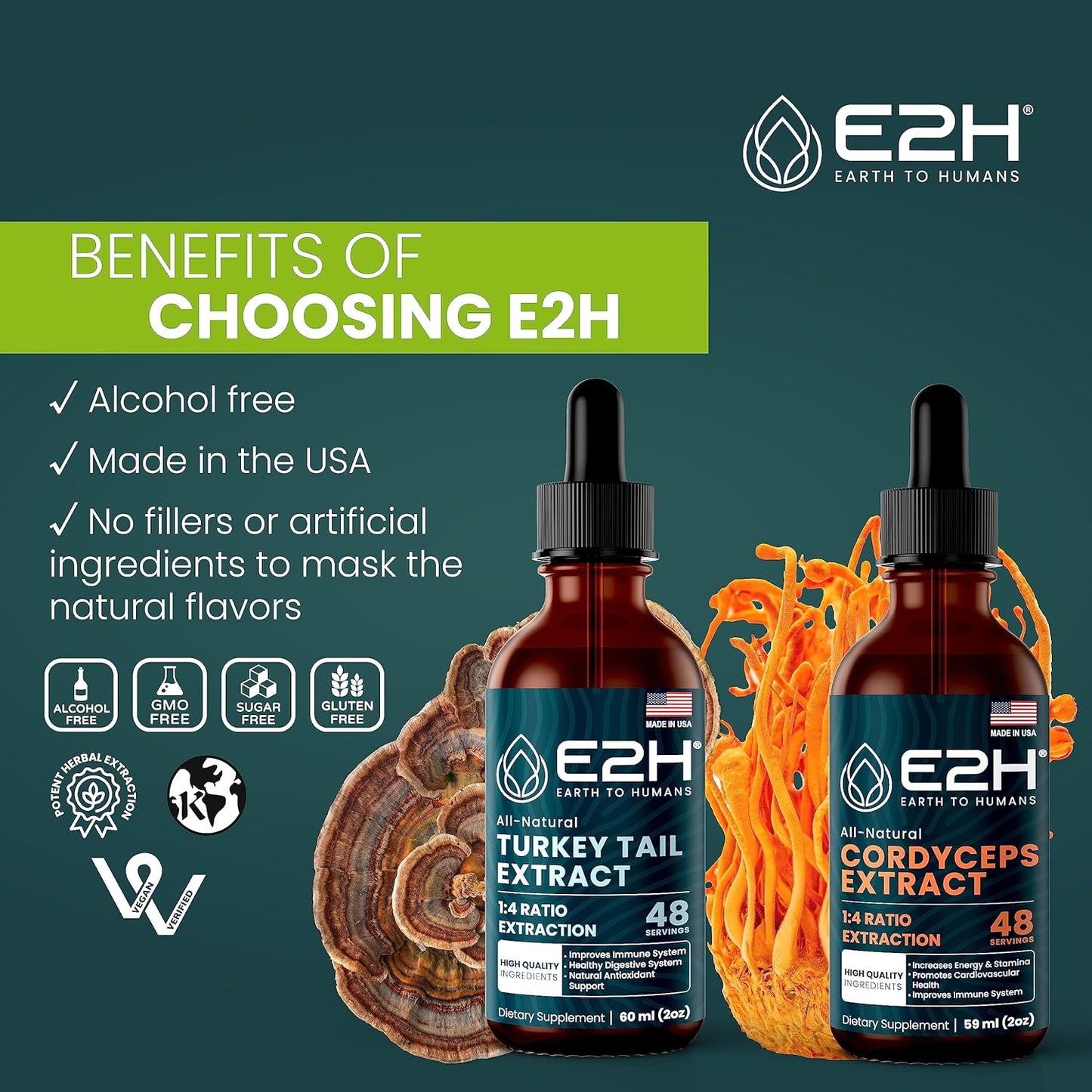 E2H Turkey Tail & Cordyceps Extracts Bundle - Immune Support, Focus, Memory, Clarity - Non-GMO, Vegan - 4 Fl Oz Total