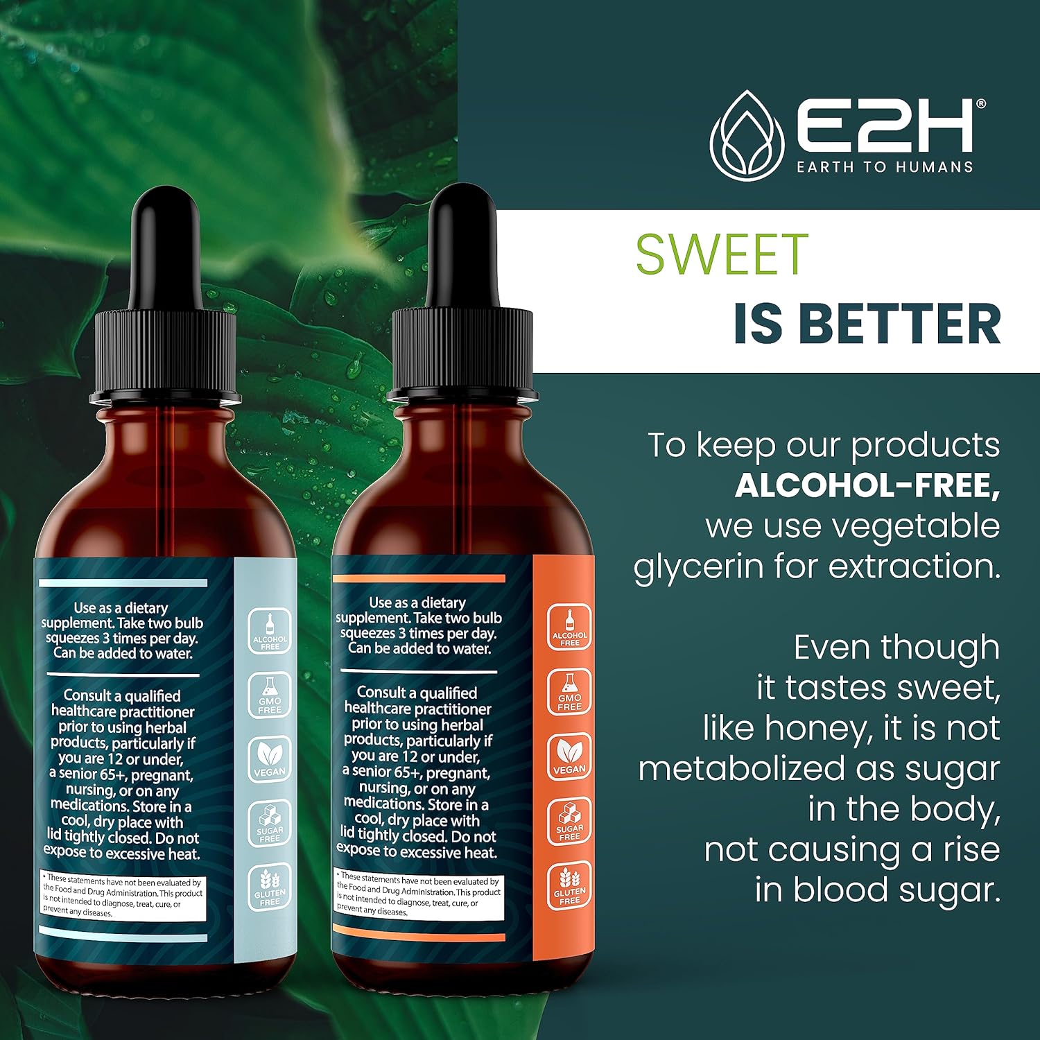 E2H Turkey Tail & Cordyceps Extracts Bundle - Immune Support, Focus, Memory, Clarity - Non-GMO, Vegan - 4 Fl Oz Total