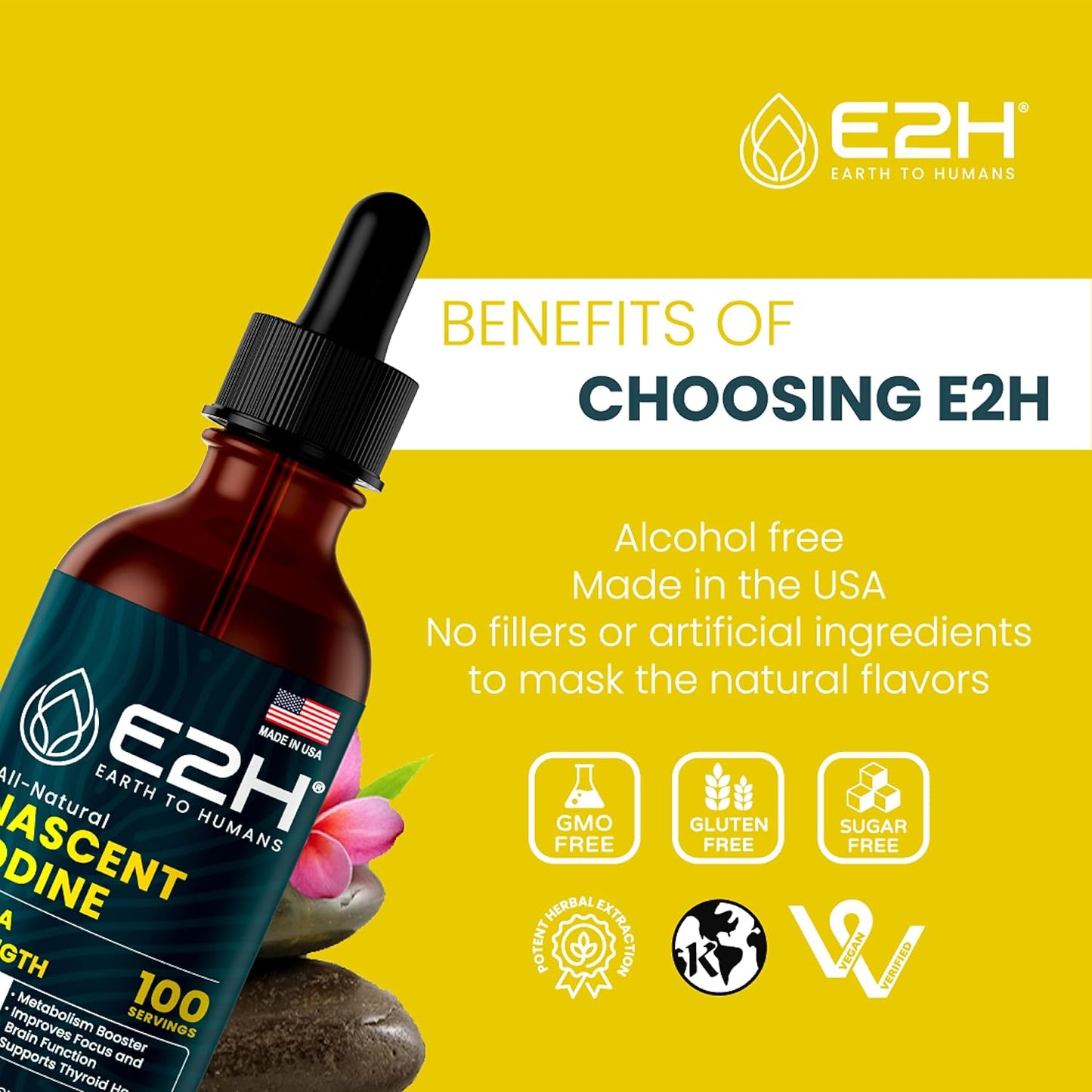E2H Vegan Liquid Iodine for Thyroid Support & Energy Boost - Non-GMO, Vegan Formula (3 Bottles)