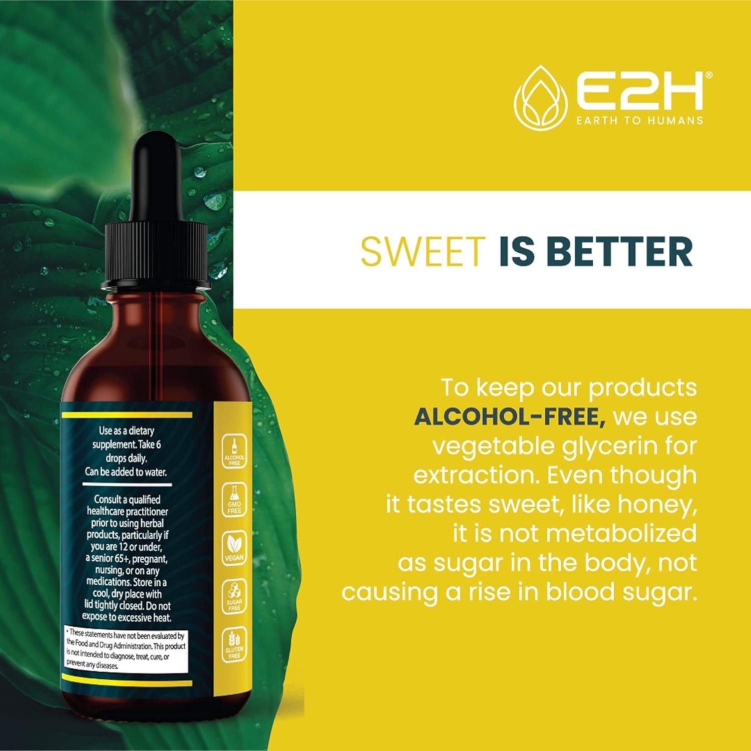 E2H Vegan Liquid Iodine for Thyroid Support & Energy Boost - Non-GMO, Vegan Formula (3 Bottles)