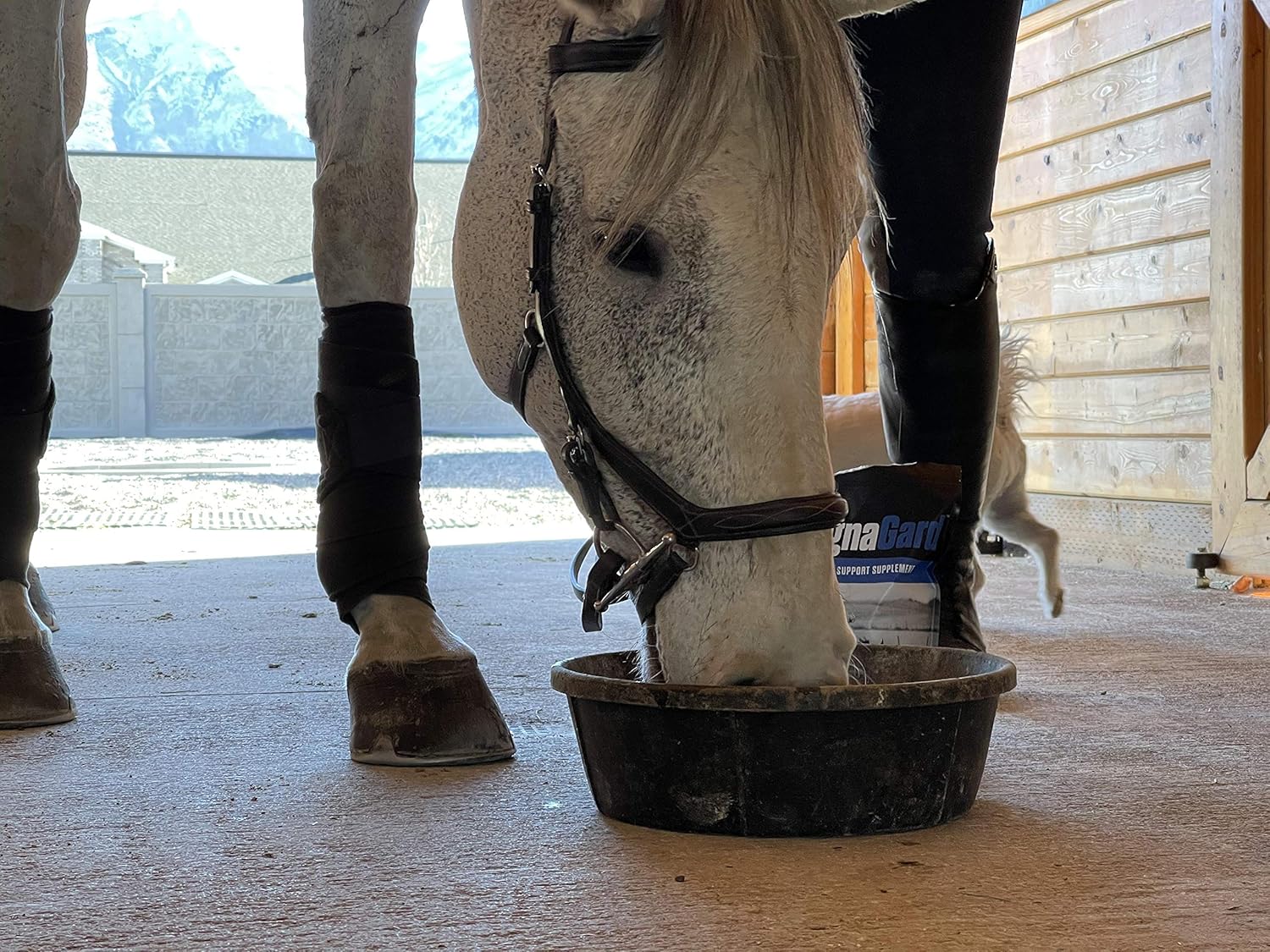 Eagle Equine MagnaGard Gastric Support Powder Supplement for Horses - Ulcer Relief, Calming Formula, 20lb Bucket, 5-Month Supply - BoostGo Australia