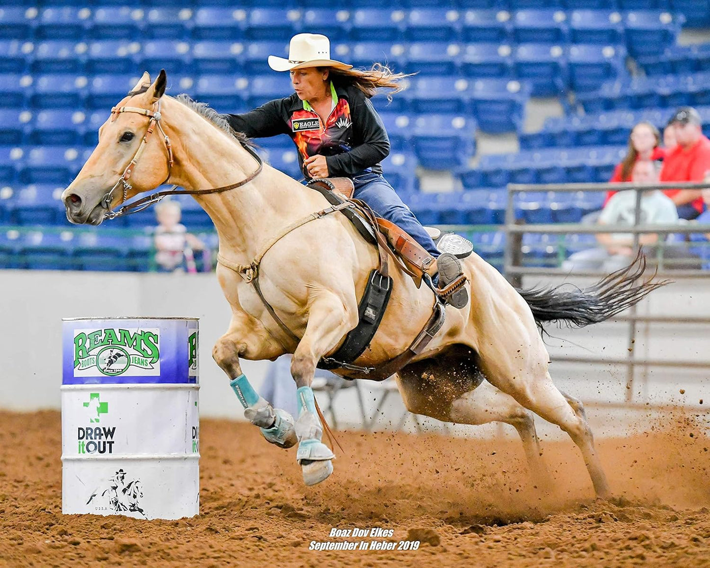 Eagle Equine MagnaGard Gastric Support Powder Supplement for Horses - Ulcer Relief, Calming Formula, 20lb Bucket, 5-Month Supply - BoostGo Australia