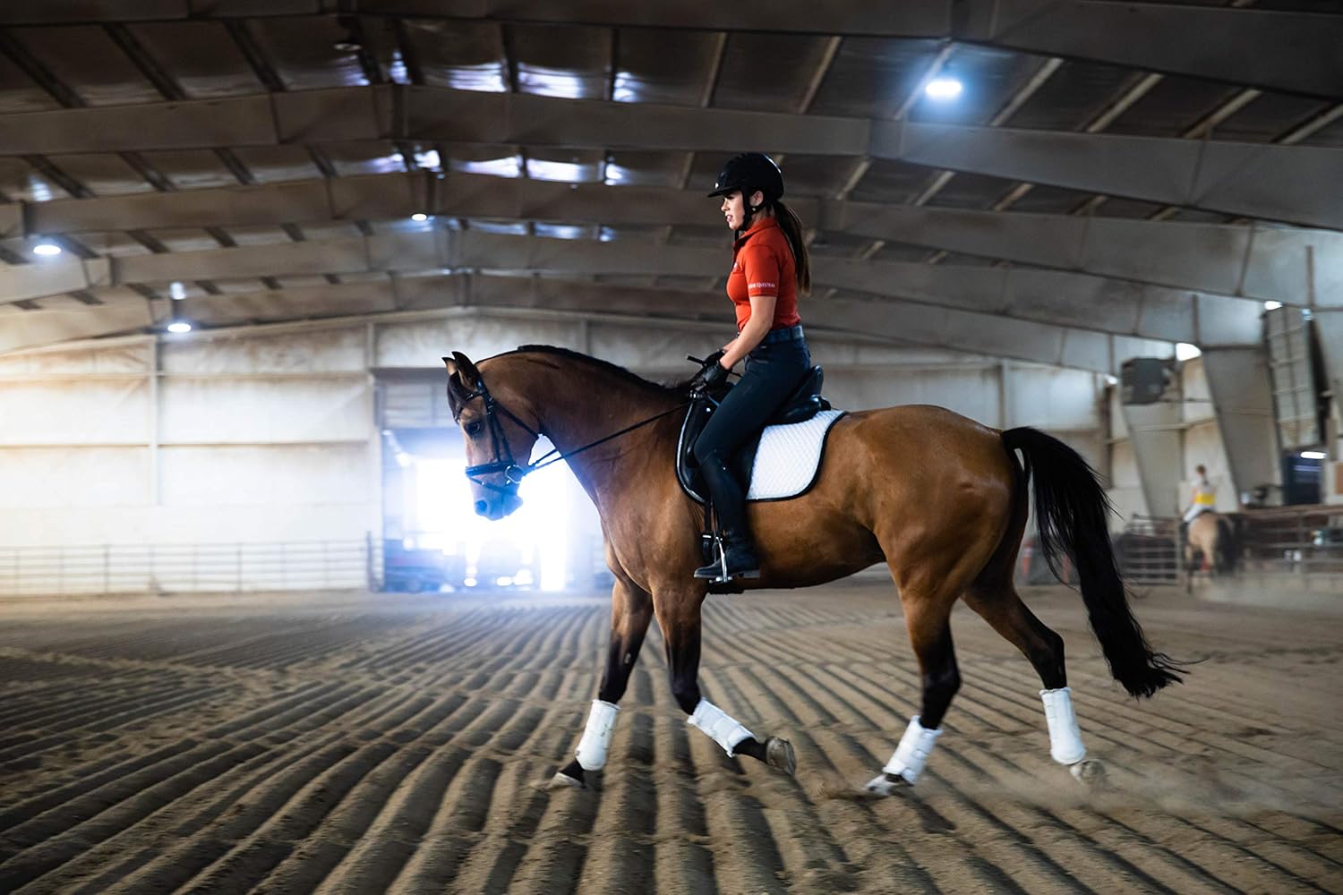 Eagle Equine MagnaGard Gastric Support Powder Supplement for Horses - Ulcer Relief, Calming Formula, 20lb Bucket, 5-Month Supply - BoostGo Australia