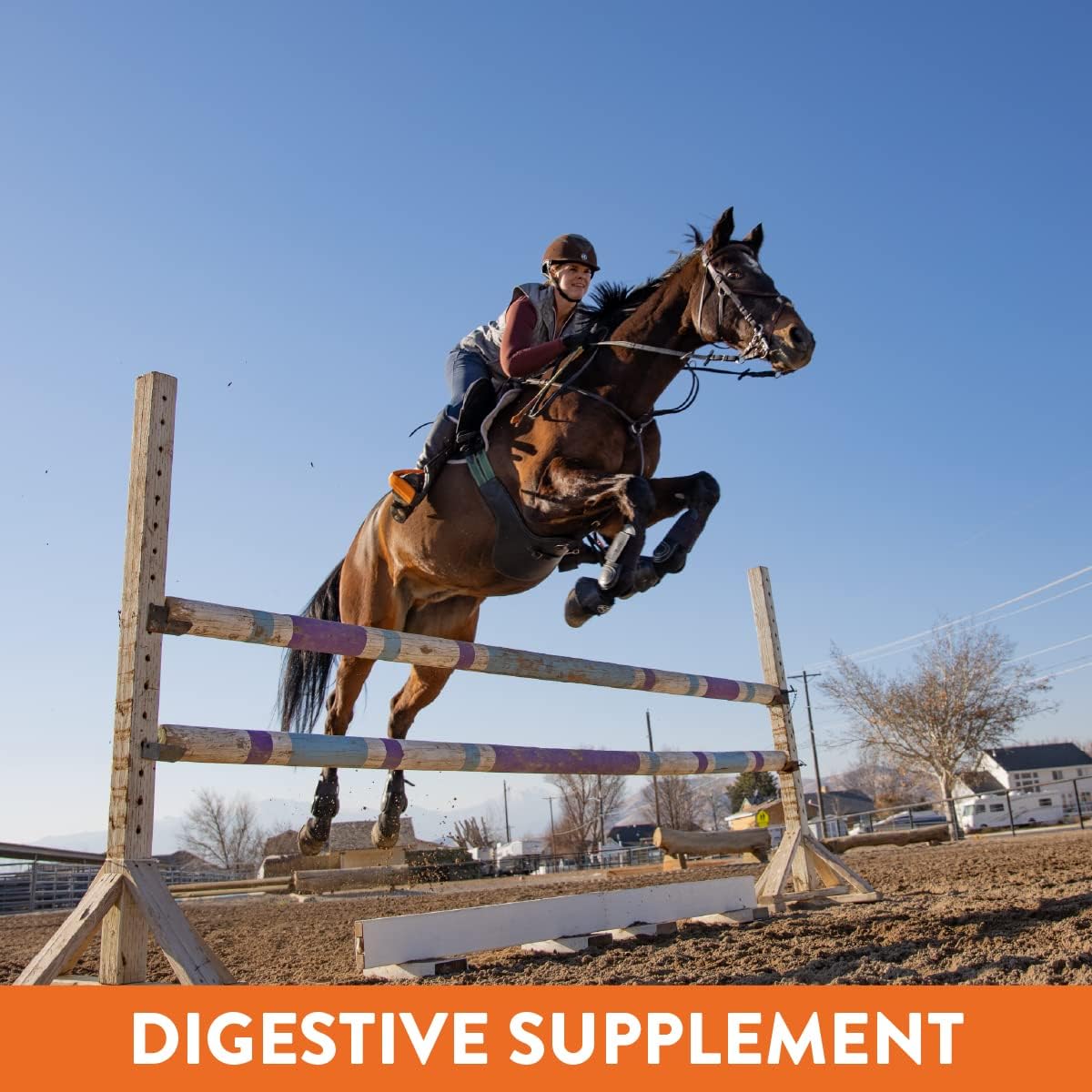Eagle Equine MagnaGard Plus Gastric Support Powder Supplement for Horses - Omega 3s, Ulcer Relief, Calming, Magnesium, Minerals - 20lb Bucket, 5 Months Supply - BoostGo Australia