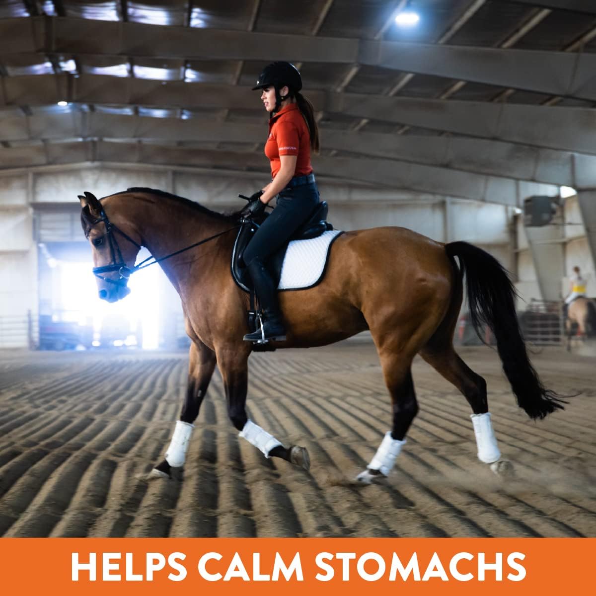 Eagle Equine MagnaGard Plus Gastric Support Supplement for Horses - Omega 3s, Ulcer Relief, Calming & Minerals - 6lb Bag, 45-Day Supply