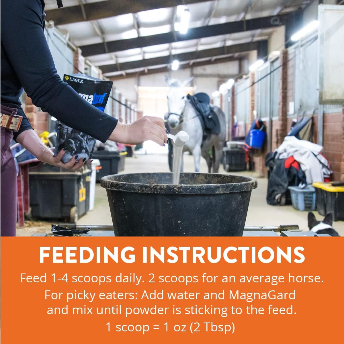 Eagle Equine MagnaGard Plus Gastric Support Supplement for Horses - Omega 3s, Ulcer Relief, Calming & Minerals - 6lb Bag, 45-Day Supply