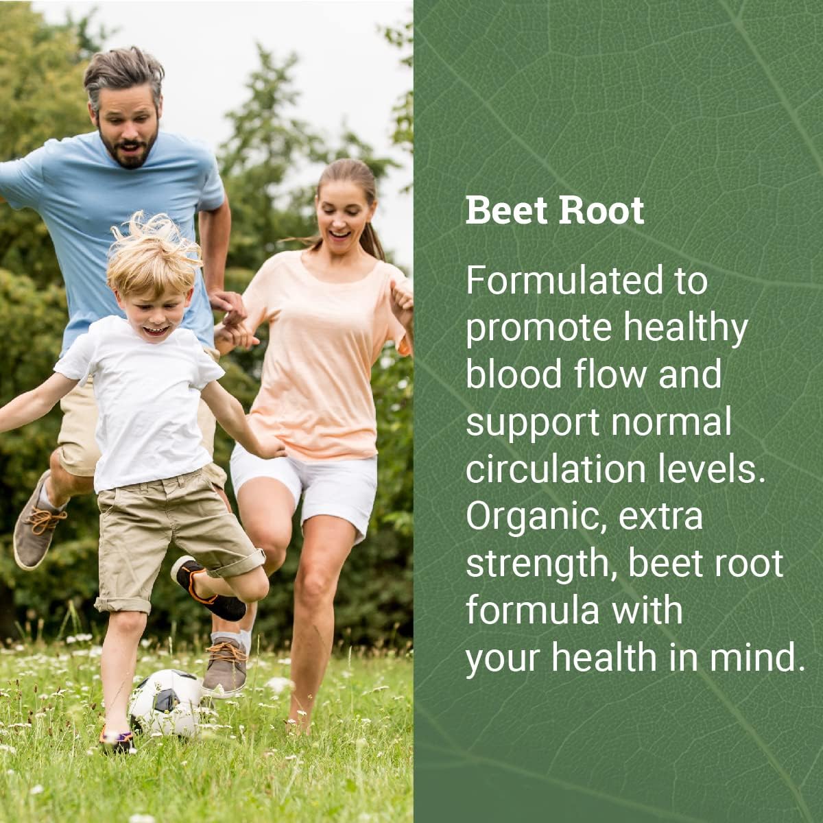 Earth Harmony Naturals Chlorophyll & Beet Root Liquid & Powder Blend - 2 Fl Oz & 120 Capsules