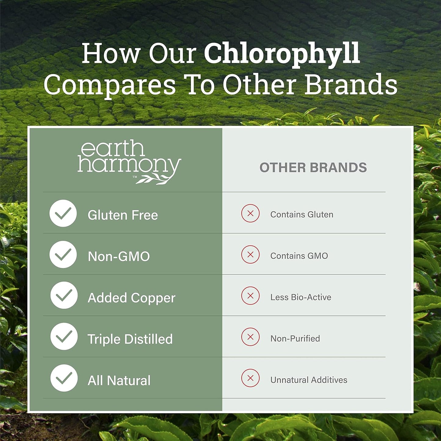 Earth Harmony Naturals Chlorophyll & Beet Root Liquid & Powder Blend - 2 Fl Oz & 120 Capsules