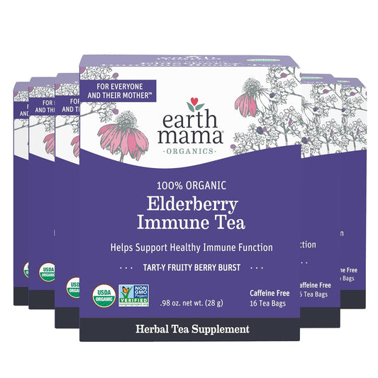 Earth Mama Organic Elderberry Immune Support Tea with Echinacea - Safe for Pregnancy, Breastfeeding, Postpartum, Kids & Family - Decaf Tea with Ginger & Rooibos - 16-Count (6-Pack)
