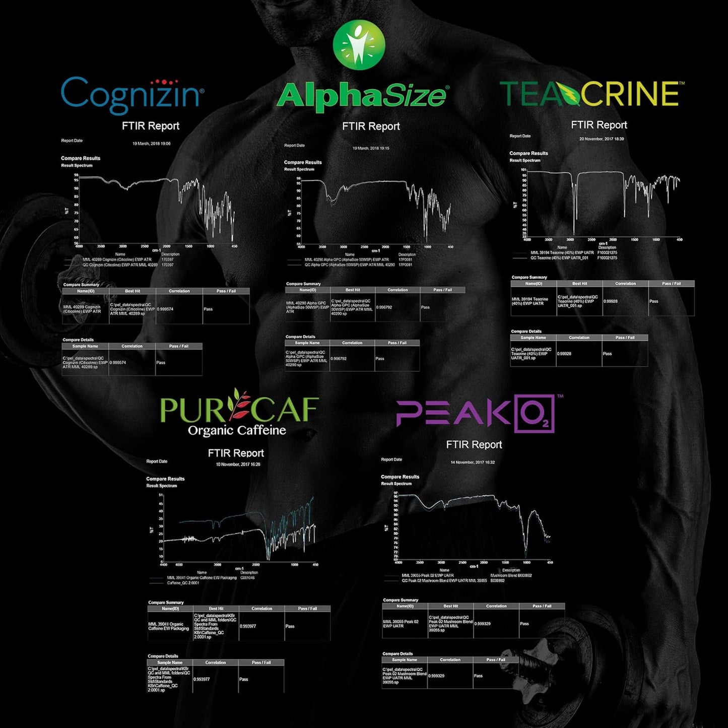 Earth Nutri Mango Energy + Focus Powder with Peak02, AlphaSize, Cognizin - 20 Servings