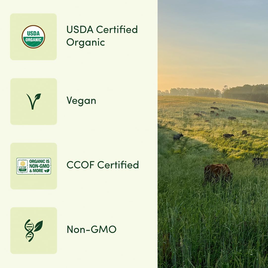 EarthFirst Organic Women's Multivitamin with Iron, Vitamin B12 & More - 30 Count