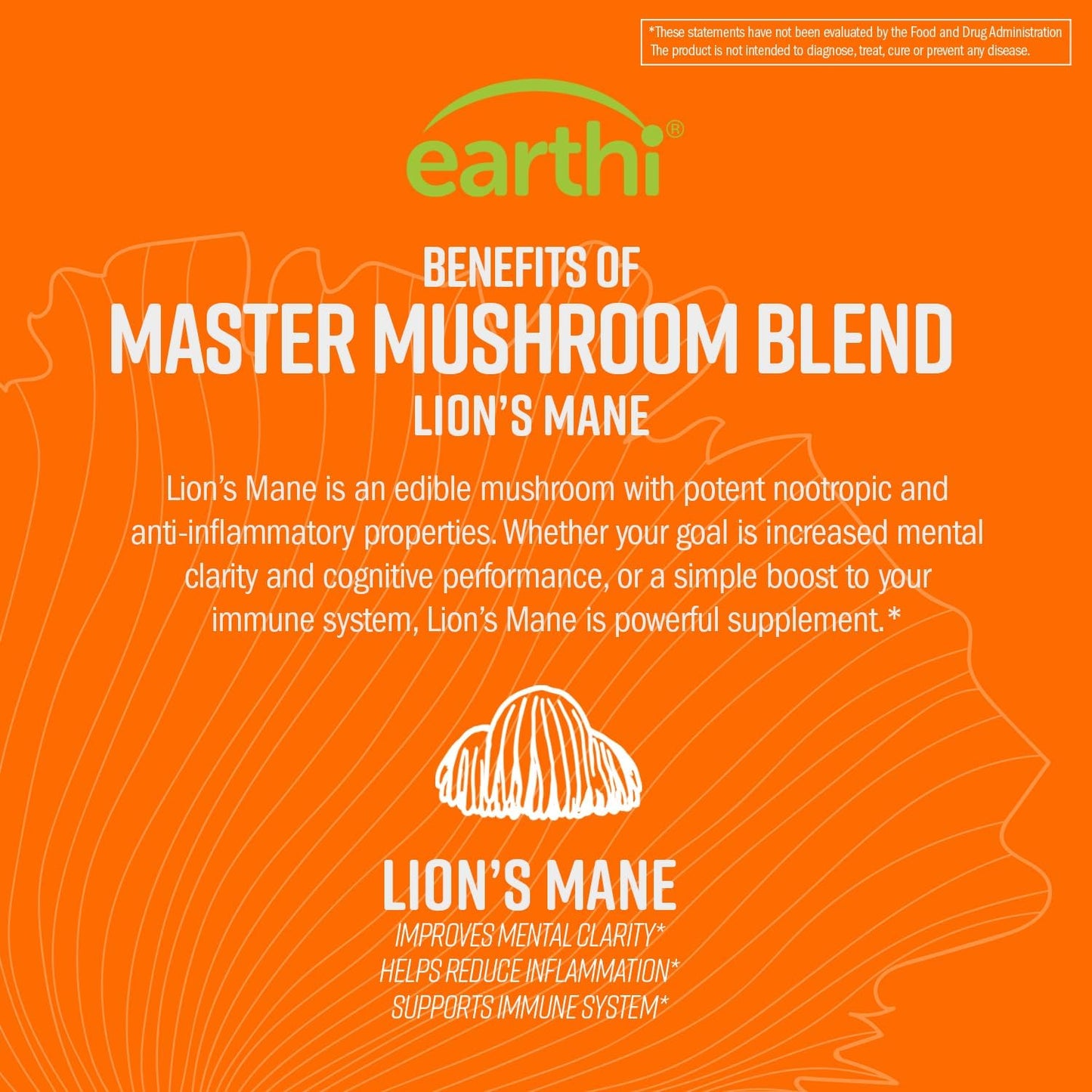 Earthi Ultimate Organic Lion's Mane Mushroom Powder for Cognitive Function, Mood, Immune Support - 100g