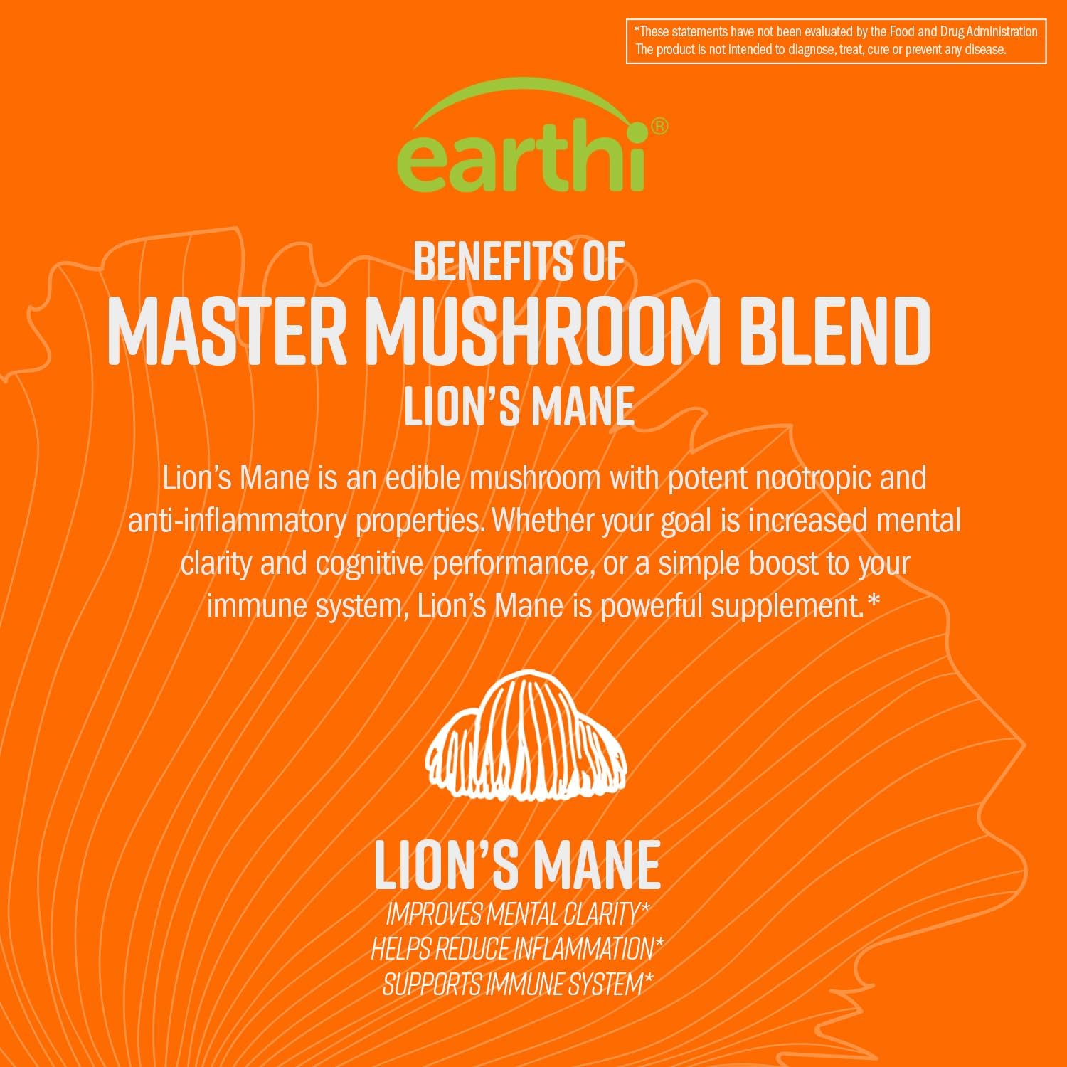 Earthi Ultimate Organic Lion's Mane Mushroom Powder for Cognitive Function, Mood, Immune Support - 100g