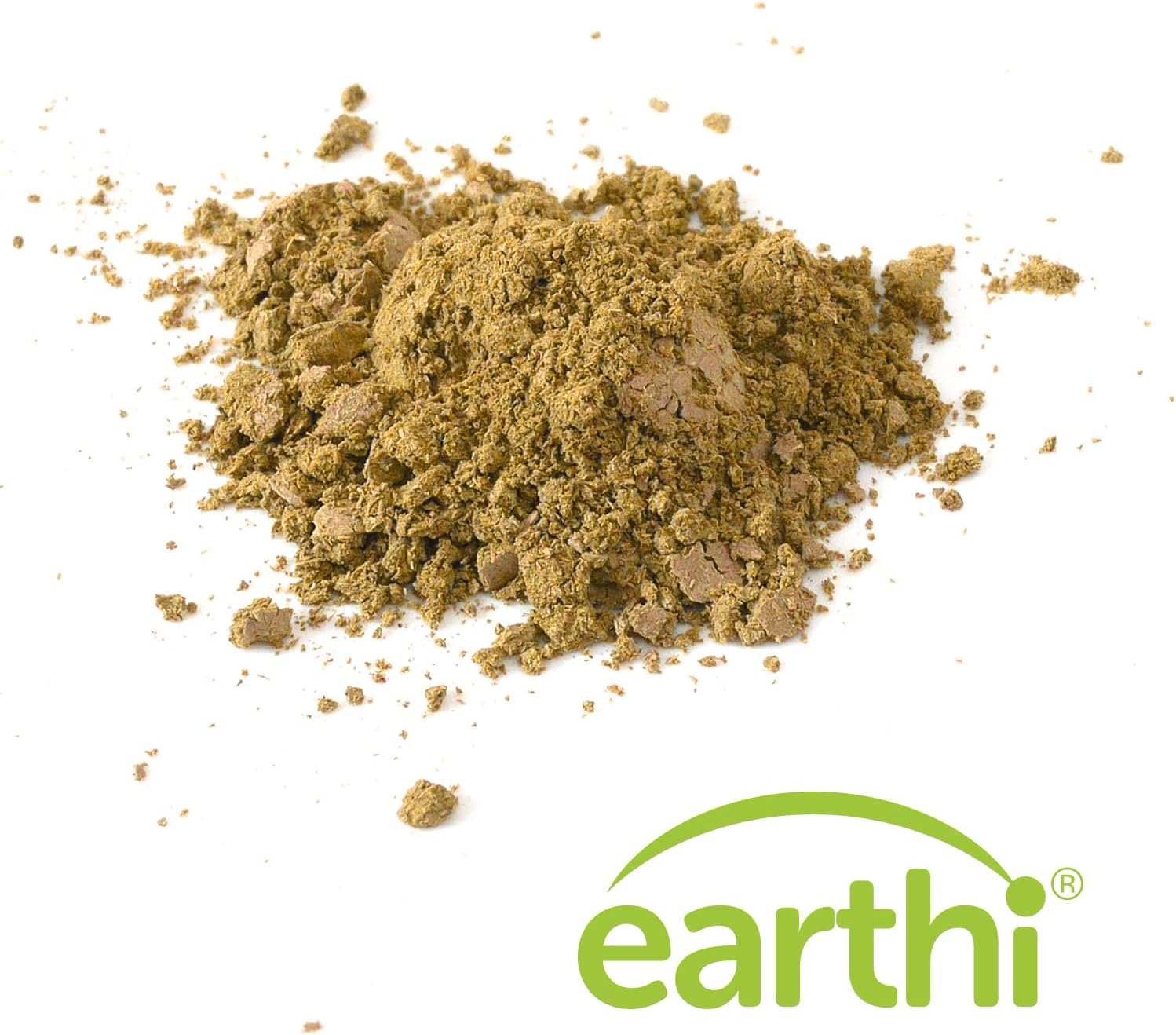 Earthi Ultimate Organic Lion's Mane Mushroom Powder for Cognitive Function, Mood, Immune Support - 100g