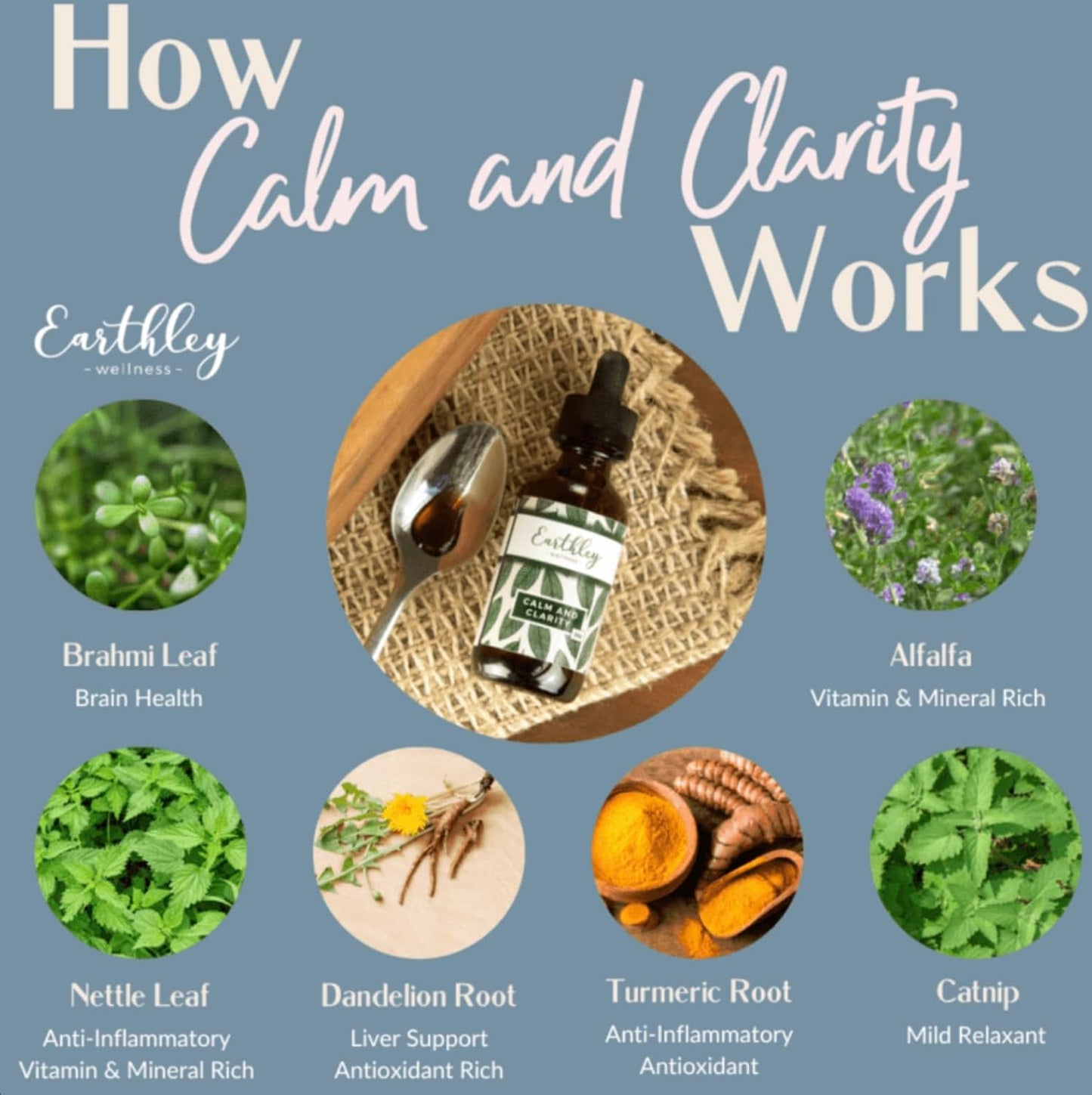 Earthley Wellness Calm and Clarity Herbal Tincture 2oz - Natural Stress Relief and Mental Focus Formula