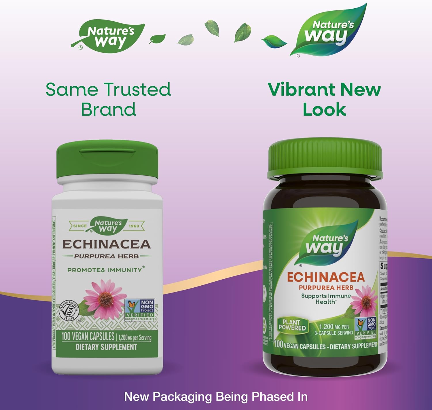 Echinacea Purpurea Herb Capsules - 1200mg per Serving, Immune Support, Non-GMO, Vegan - 100 Count