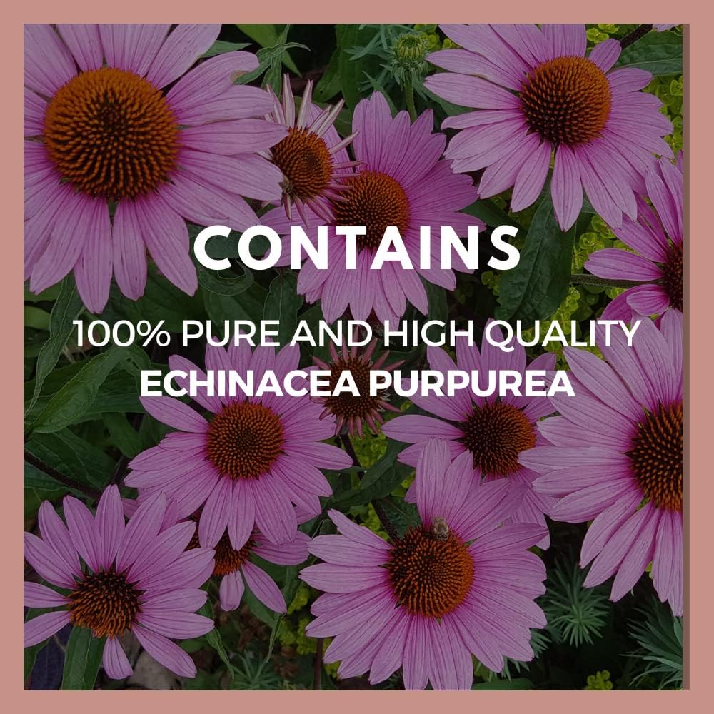 Echinacea Purpurea Herbal Dietary Supplement | 1,000 mg, 60 Vegan Capsules | Non-GMO, Gluten Free, Dairy Free
