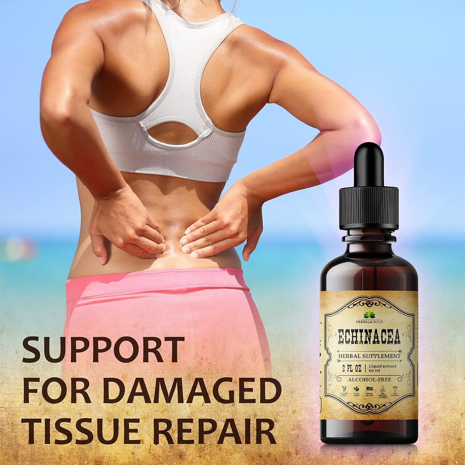 Echinacea Supplement Liquid Drops - Antioxidant-Rich Immune Support Formula - Vegan Herbal Tincture - Non-GMO, Alcohol-Free - 2 Fl Oz
