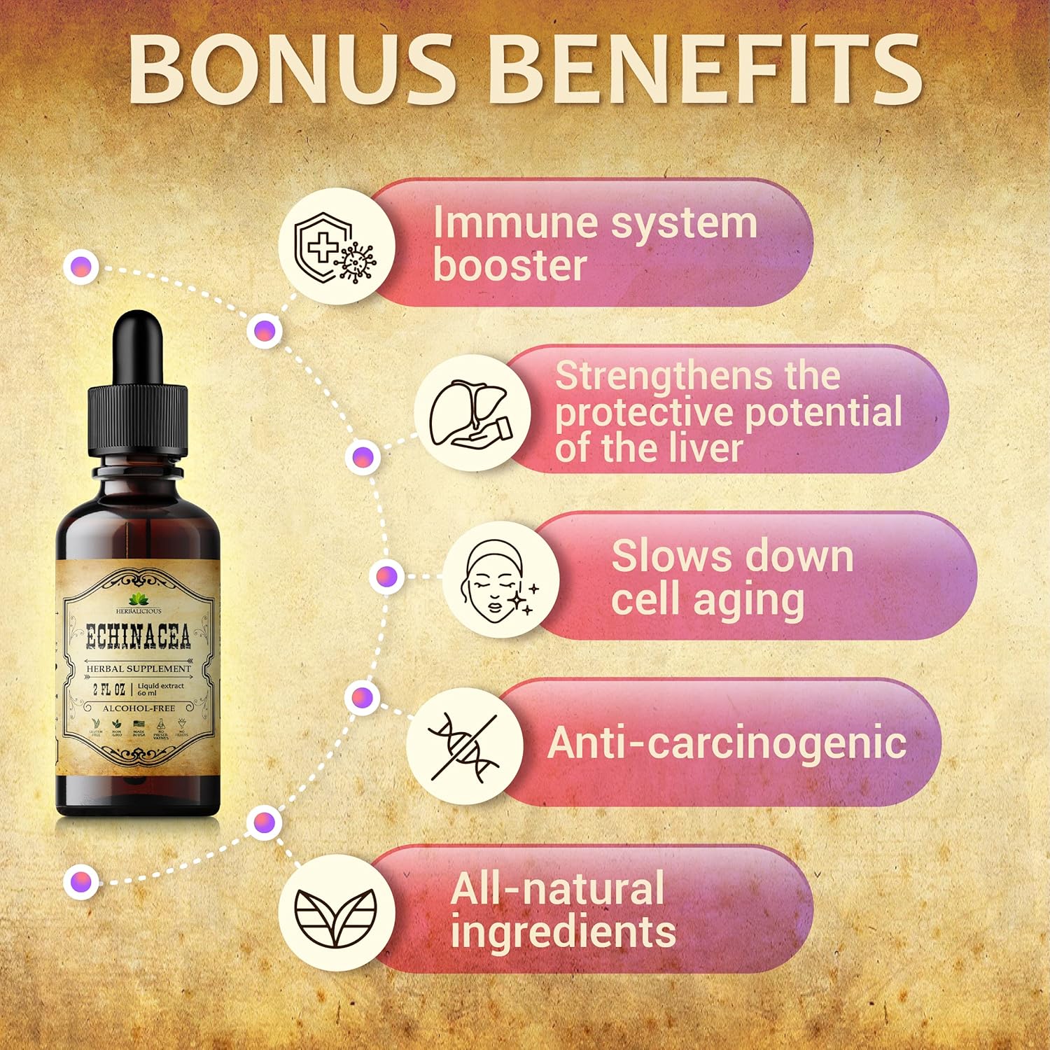 Echinacea Supplement Liquid Drops - Antioxidant-Rich Immune Support Formula - Vegan Herbal Tincture - Non-GMO, Alcohol-Free - 2 Fl Oz