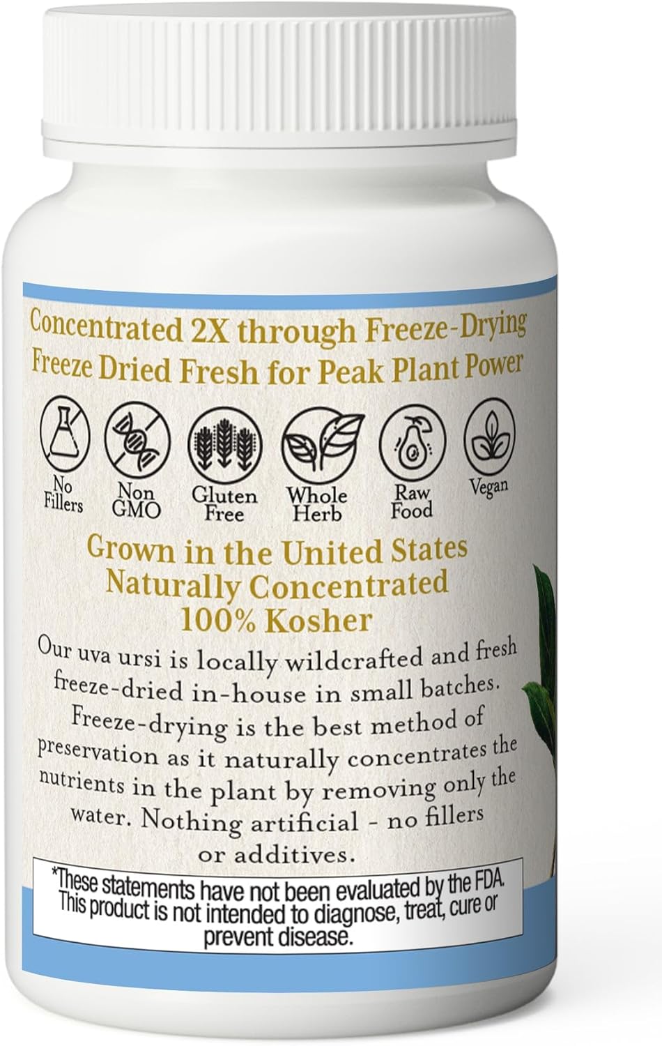 Eclectic Institute Uva Ursi Capsules - 90 Count - Organic, Non-GMO Supplement