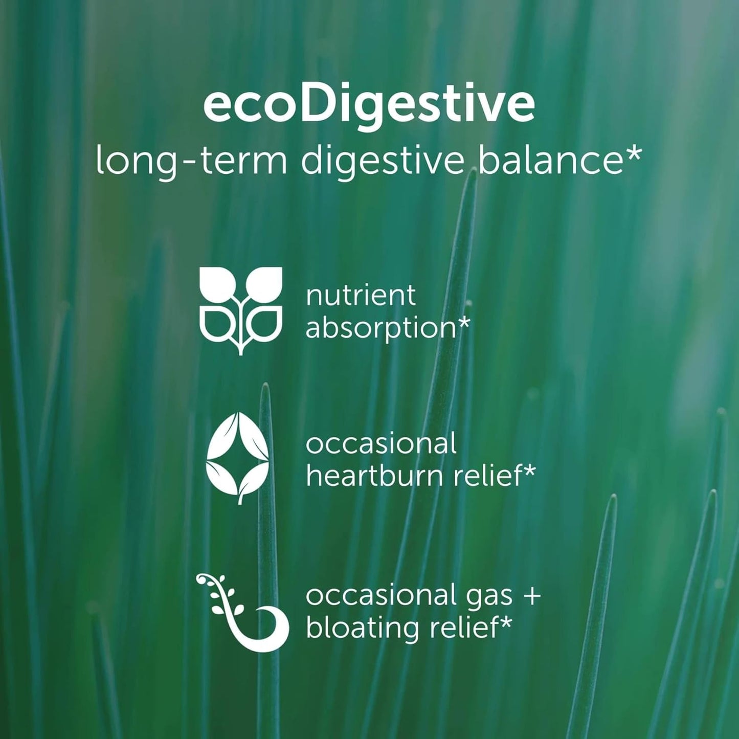 EcoNugenics EcoDigest Digestive Health Supplement - 60 Capsules - Herbal Enzyme Support for Gut Health