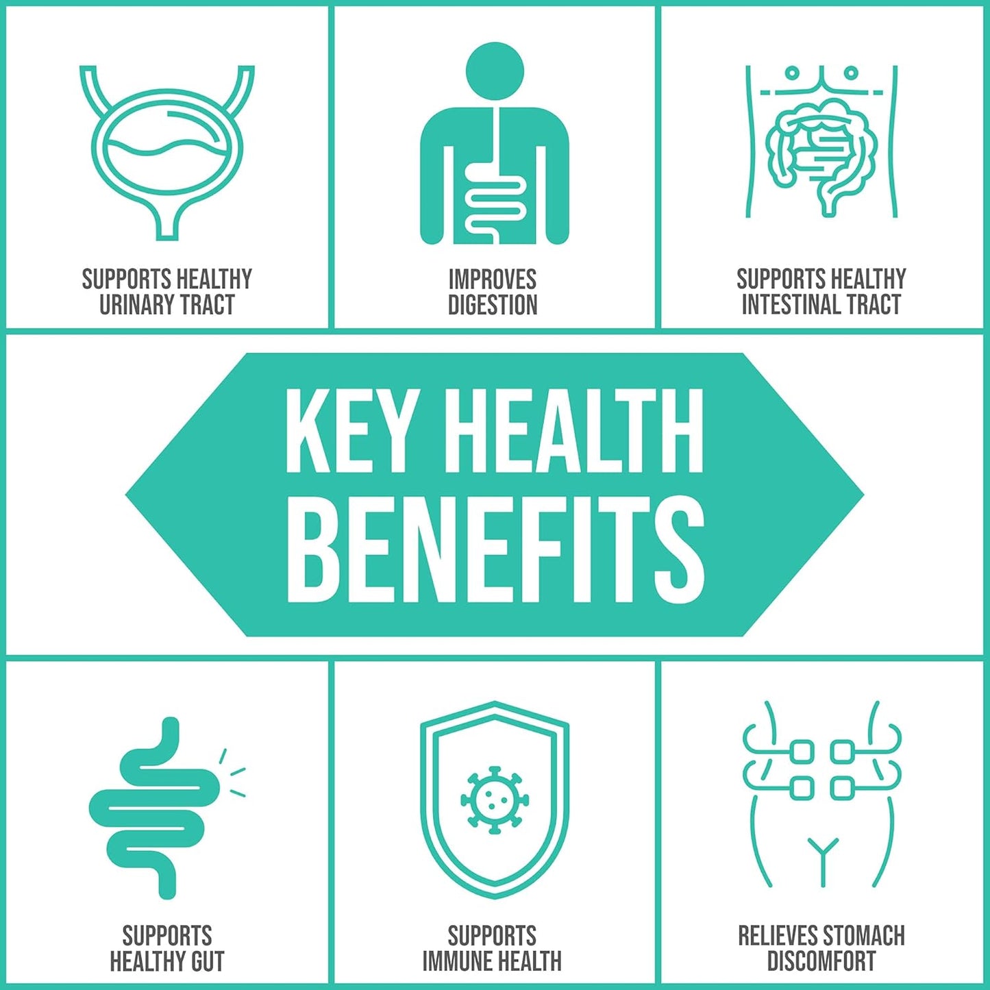 EcoPhage Bacteriophage Prebiotic & Probiotic Supplement - Supports Immune Health & Intestinal Tract - 60 Veg Caps