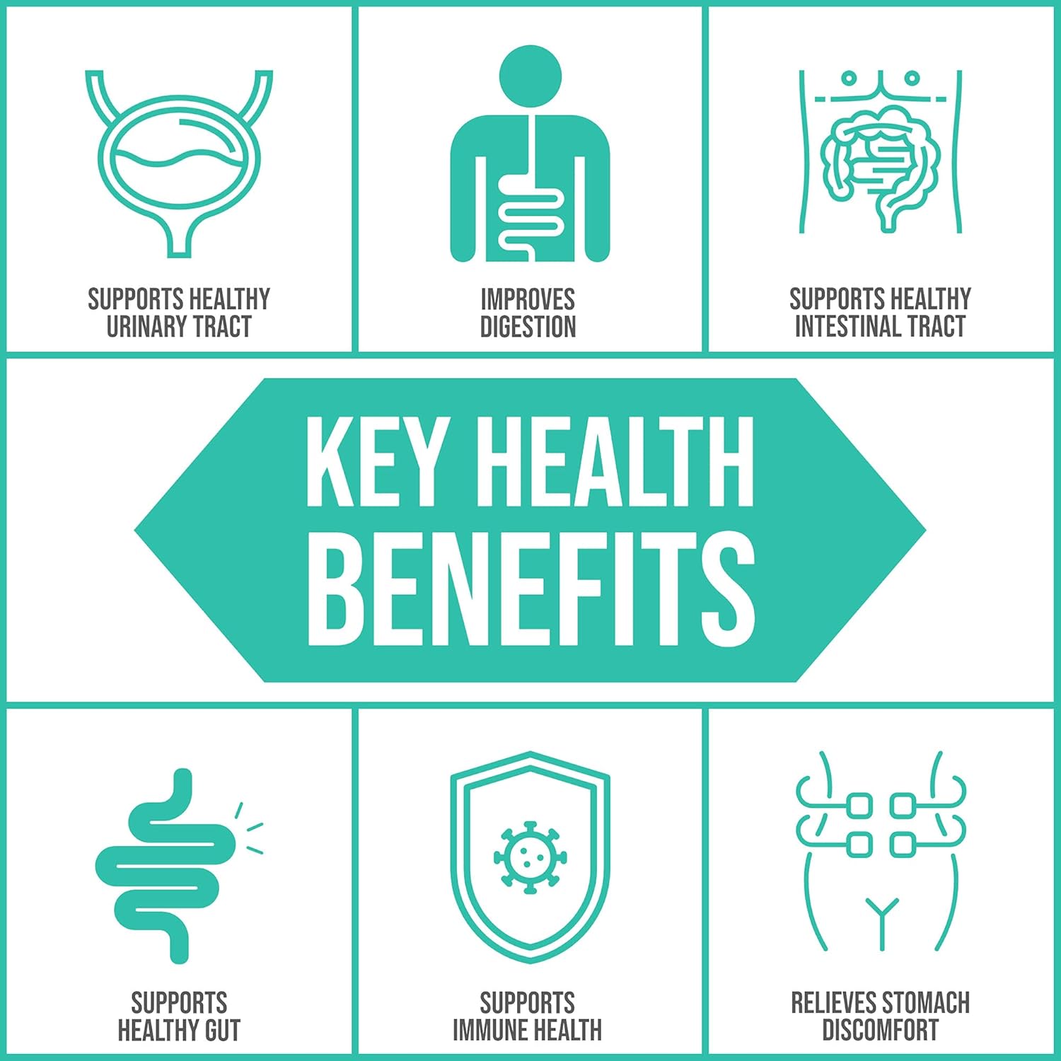 EcoPhage Bacteriophage Prebiotic & Probiotic Supplement - Supports Immune Health & Intestinal Tract - 60 Veg Caps