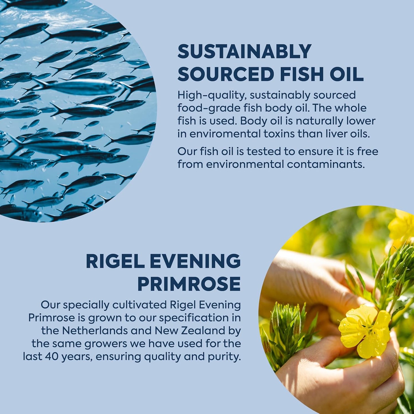 Efamol Efalex Omega 3 +6 Lemon & Lime Liquid Supplement - 150mls