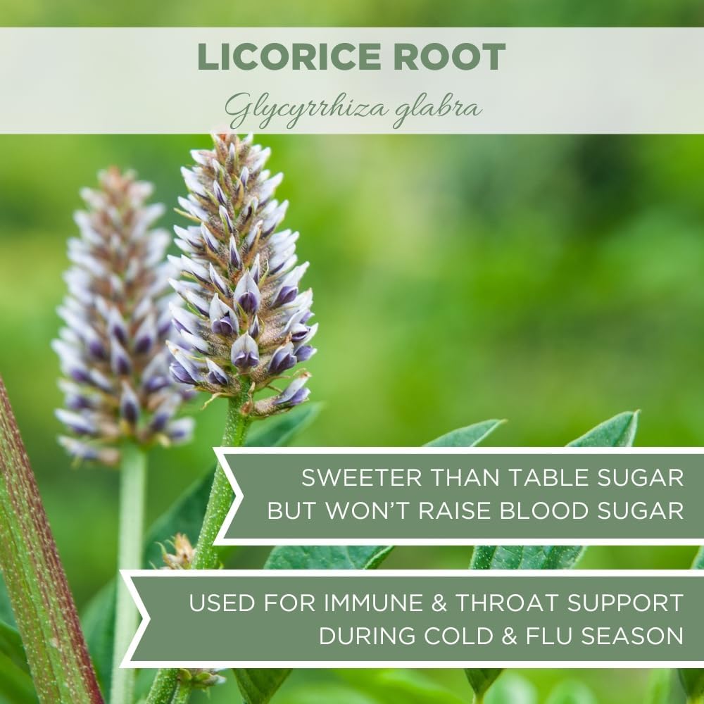 Elanen Naturals USDA Certified Organic Licorice Root Tea - 4 oz (113g) - Bulk Chopped & Sifted Glycyrrhiza Glabra Root - Liquorice Herbal Tea