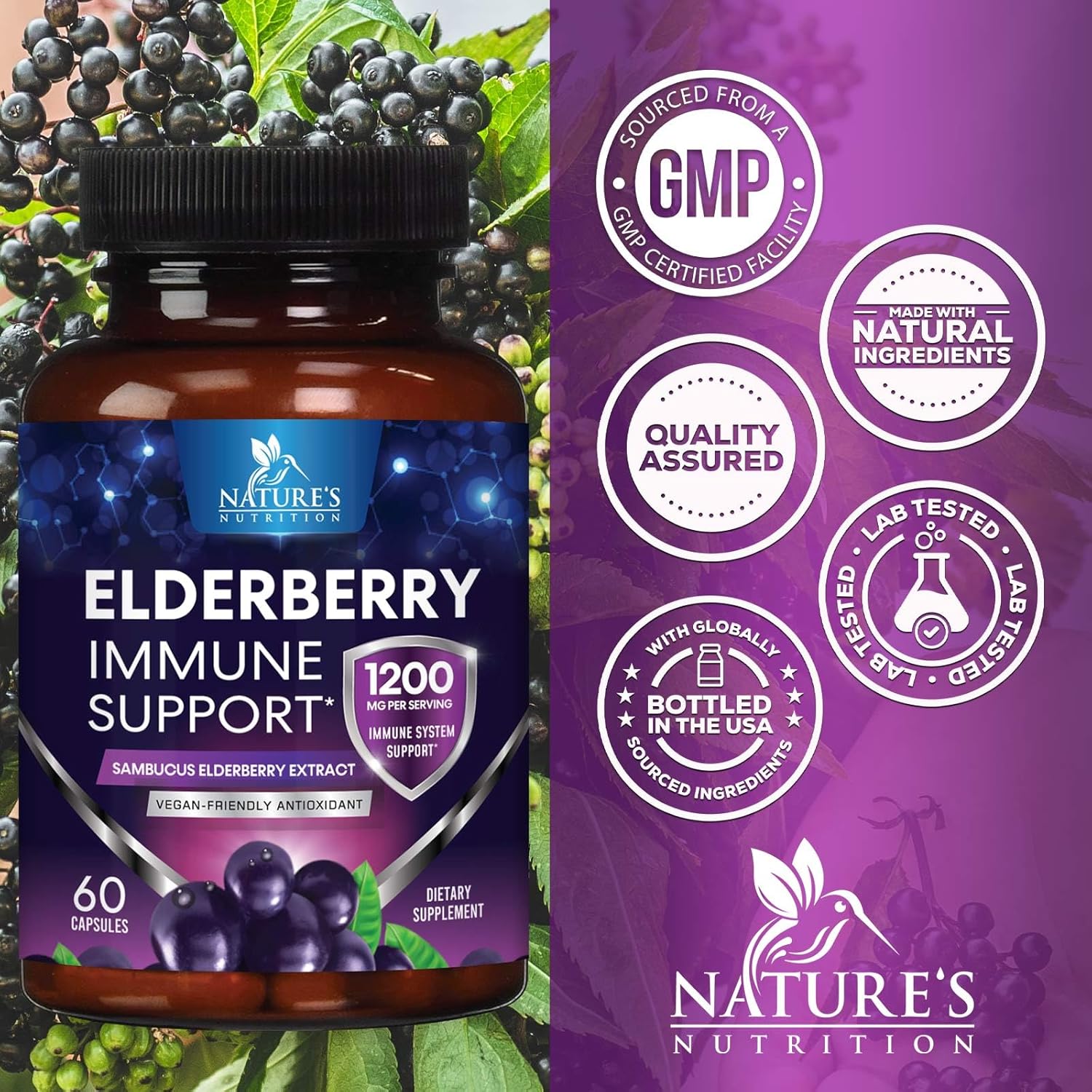 Elderberry Immune Support Capsules - Natural Sambucus Black Elderberry Antioxidant Supplement for Adults - Vegan, Sugar & Gluten Free - 60 Capsules