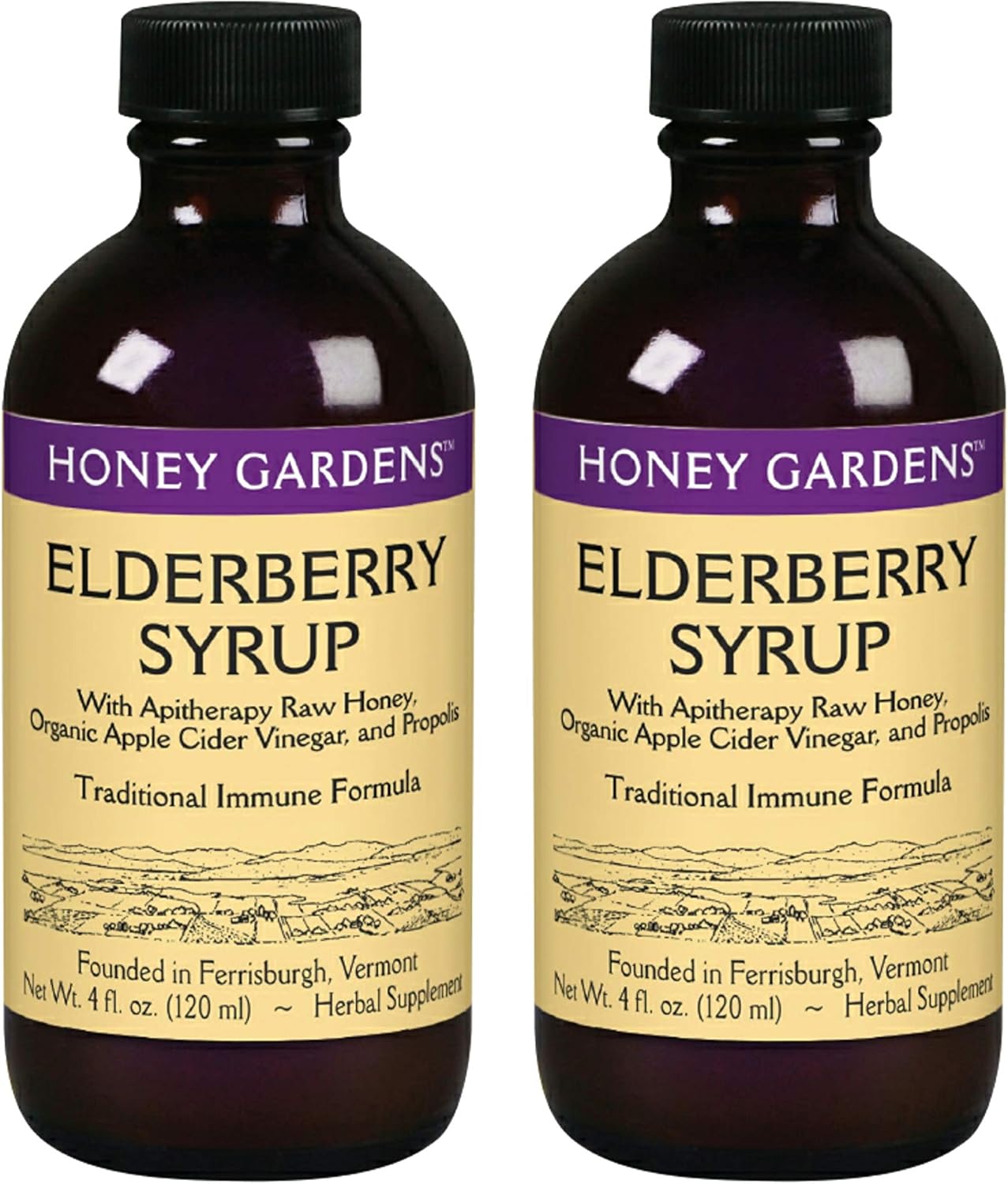 Elderberry Syrup with Raw Honey, Propolis, Organic ACV & Echinacea - Traditional Immune Support - Made in USA - 4oz, 2 Pack