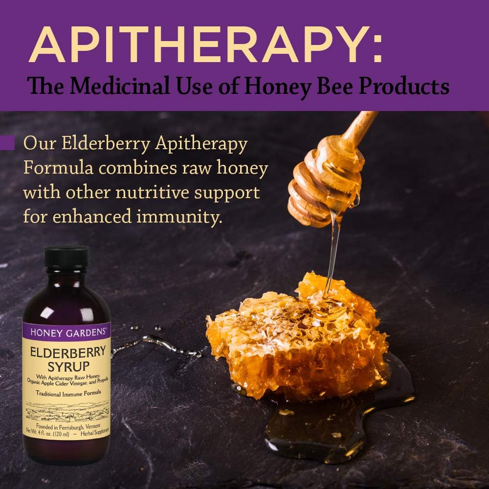 Elderberry Syrup with Raw Honey, Propolis, Organic ACV & Echinacea - Traditional Immune Support - Made in USA - 4oz, 2 Pack