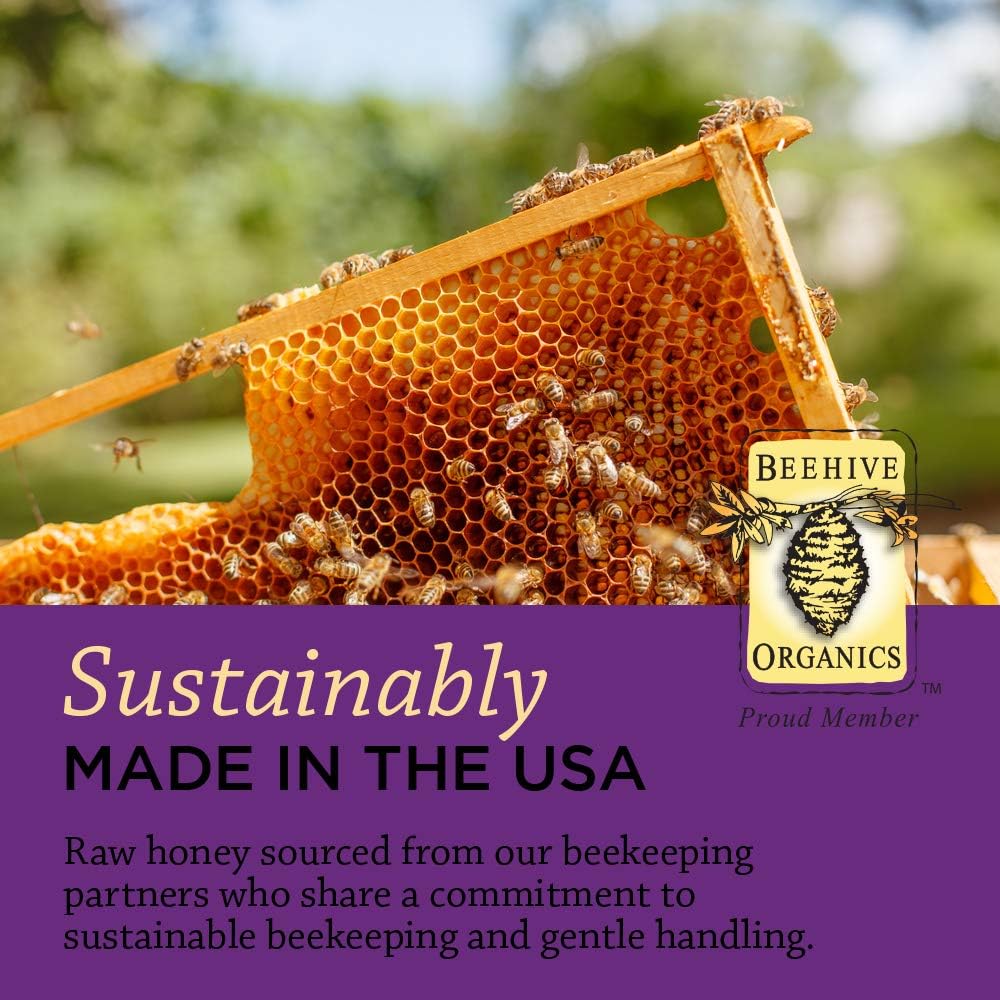 Elderberry Syrup with Raw Honey, Propolis, Organic ACV & Echinacea - Traditional Immune Support - Made in USA - 4oz, 2 Pack
