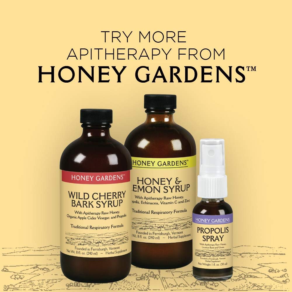 Elderberry Syrup with Raw Honey, Propolis, Organic ACV & Echinacea - Traditional Immune Support - Made in USA - 4oz, 2 Pack