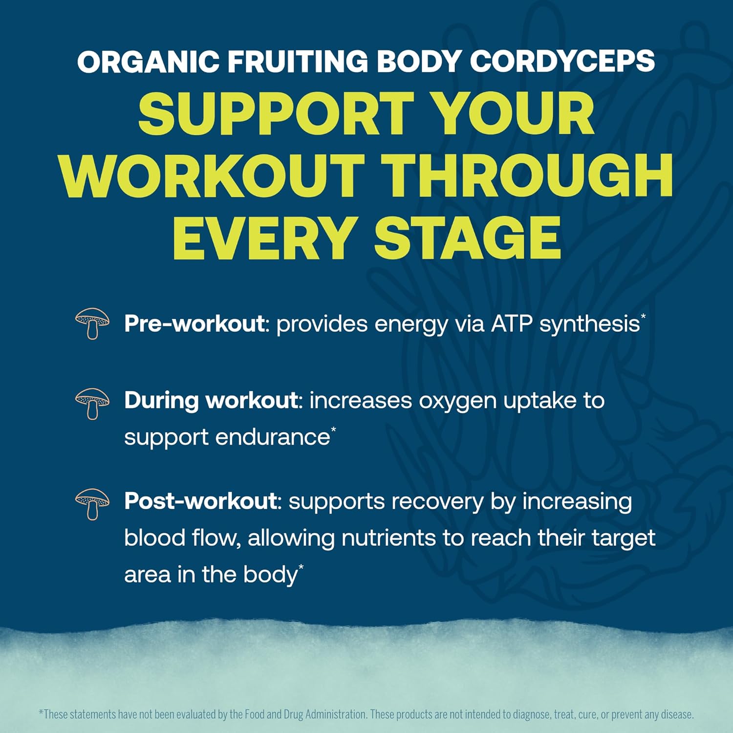 ElectroMag Electrolyte Powder - Grapefruit & Lemon Lime Flavor Packets - 32 Servings - Zero Sugar & Carbs - Non-GMO Formula