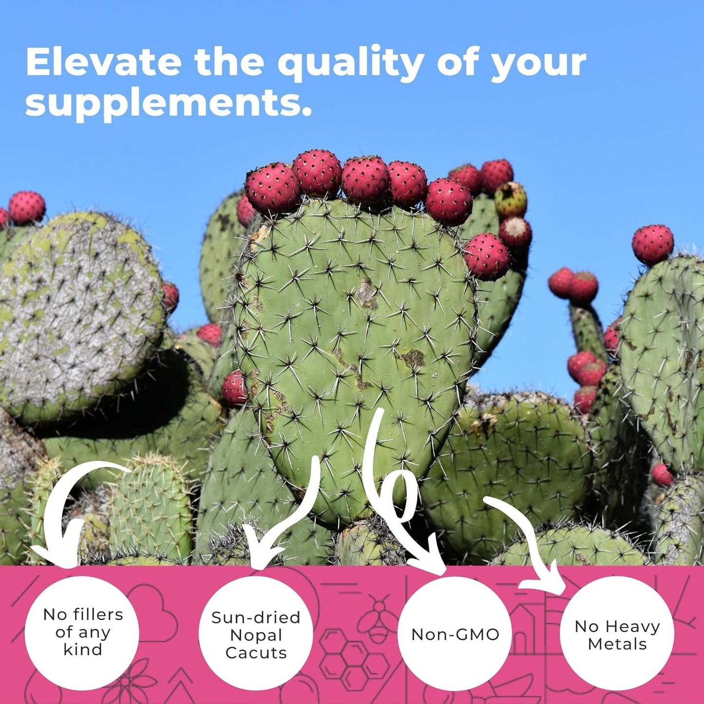Eleva Nutrition Citrus Bergamot, Nopal Cactus, & Monolaurin Supplement Bundle - 1000mg Bergamot, 1000mg Monolaurin, 1500mg Prickly Pear Cactus Capsules