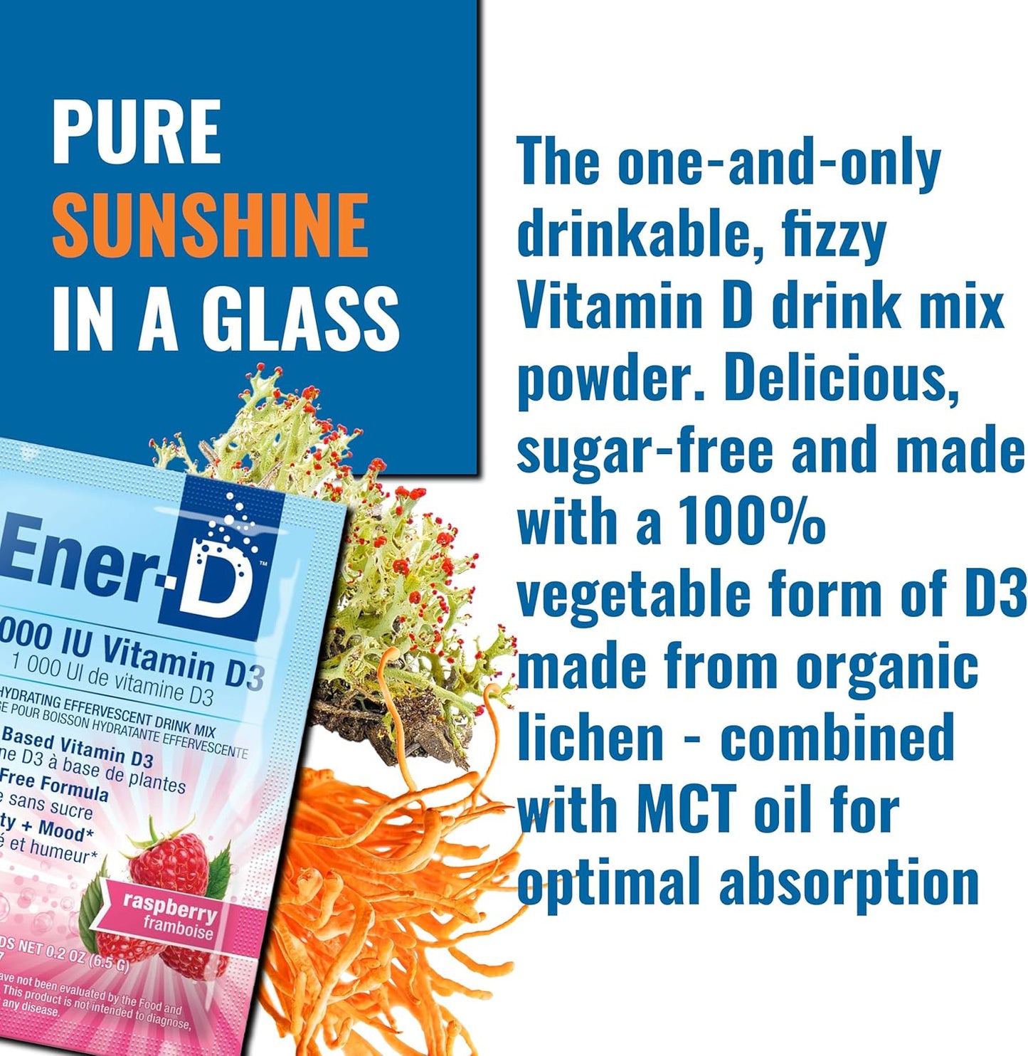 Ener-C Ener-D Raspberry Multivitamin Drink Powder - Sugar Free with Vitamin D3 for Immune & Energy Support - Men & Women - Zinc, Vitamin B & C, Electrolytes - Vegan, Non-GMO - 24 Servings
