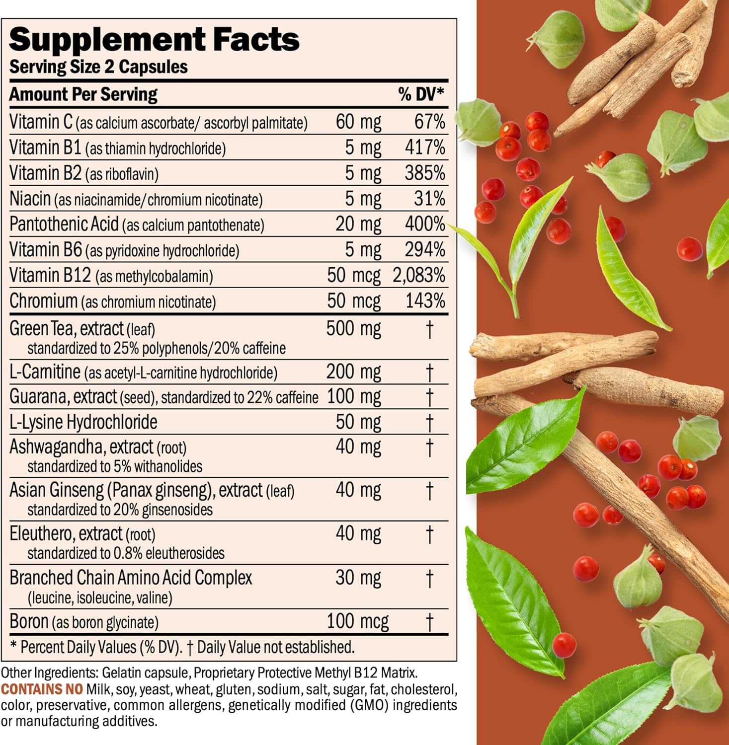 Energy and Fat Metabolism Support Supplement - Boosts Fat Burning and Energy Metabolism with Carnitine, Green Tea, Guarana, Ginseng, B-Complex - 30 Easy-to-Swallow Capsules