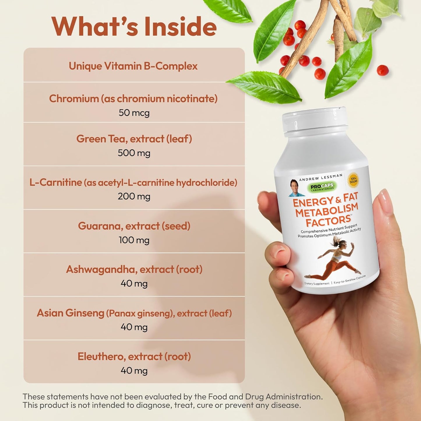 Energy and Fat Metabolism Support Supplement - Boosts Fat Burning and Energy Metabolism with Carnitine, Green Tea, Guarana, Ginseng, B-Complex - 30 Easy-to-Swallow Capsules