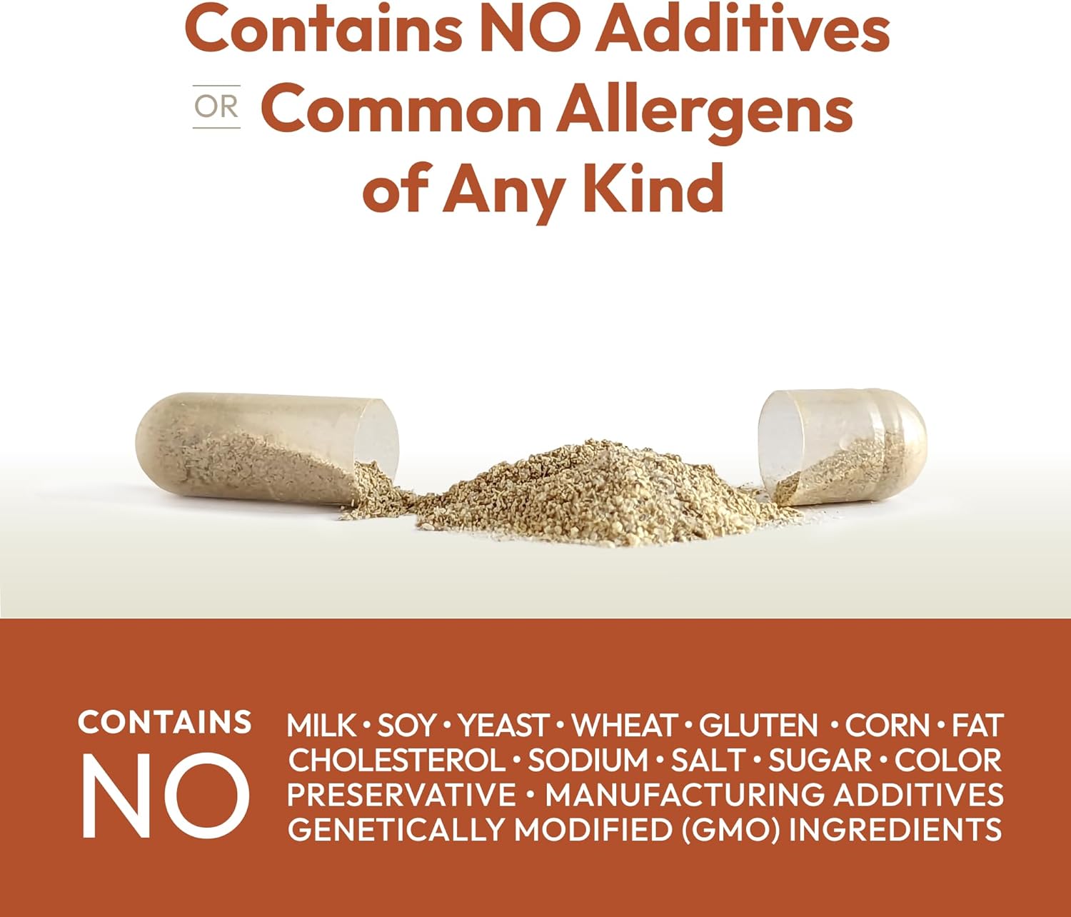 Energy and Fat Metabolism Support Supplement - Boosts Fat Burning and Energy Metabolism with Carnitine, Green Tea, Guarana, Ginseng, B-Complex - 30 Easy-to-Swallow Capsules